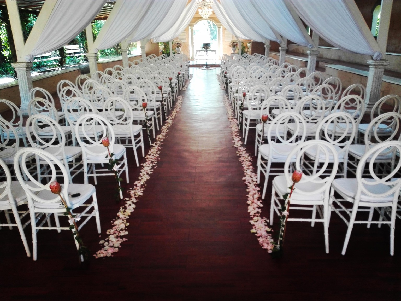 Protea Wedding - image 1 - student project