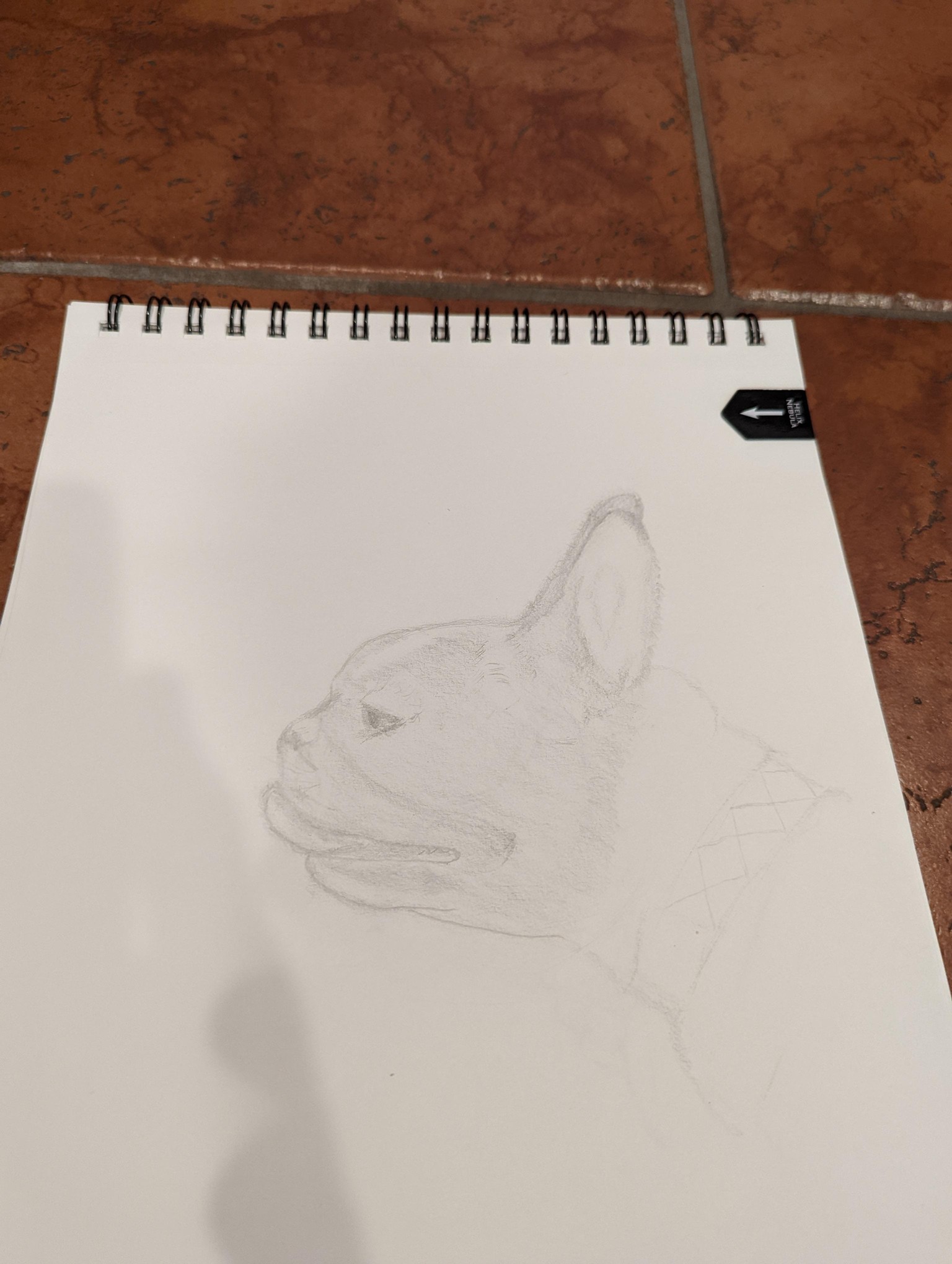 Image comparison - image 2 - student project