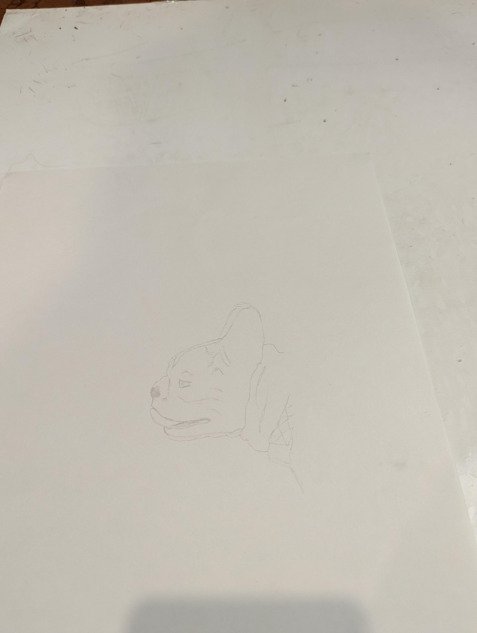 Image comparison - image 4 - student project