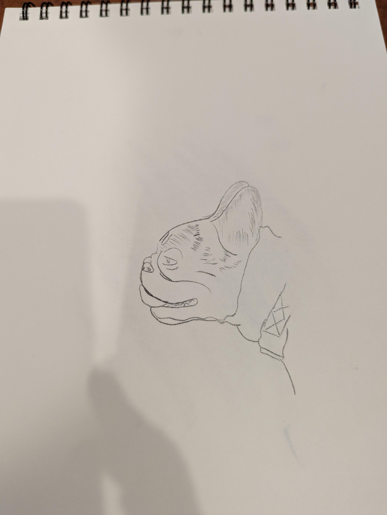 Image comparison - image 5 - student project