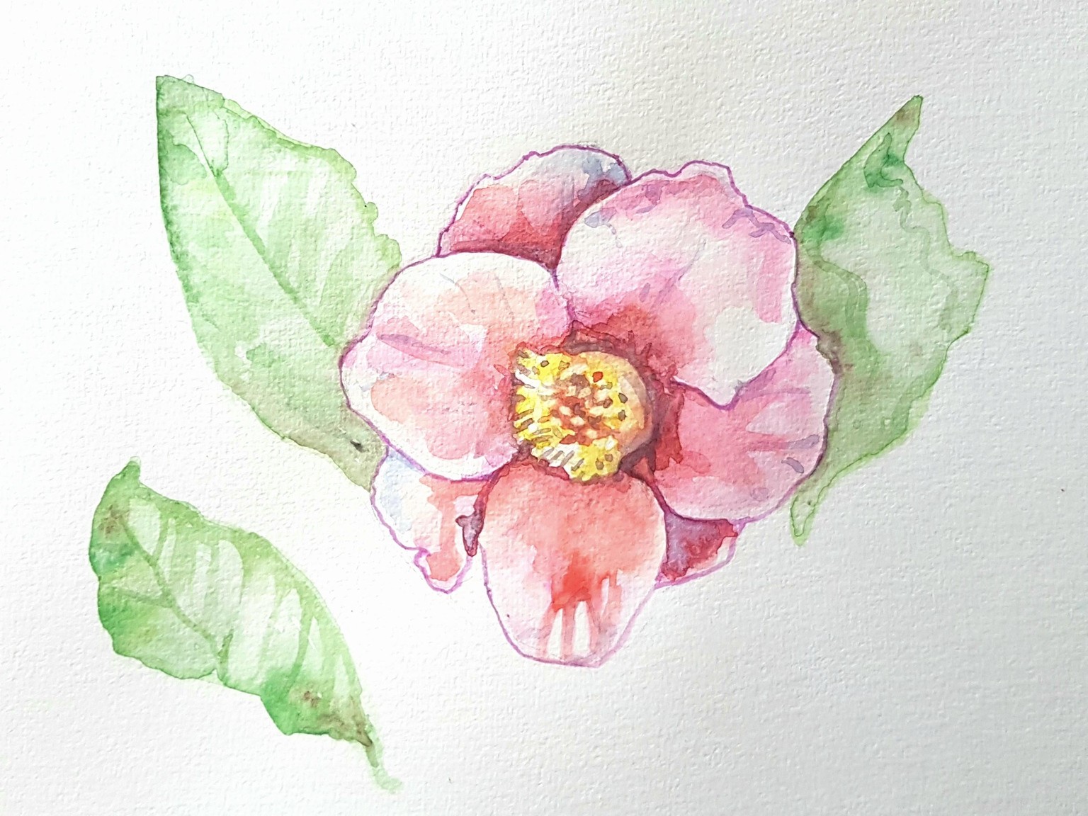 Nature in watercolour - image 1 - student project