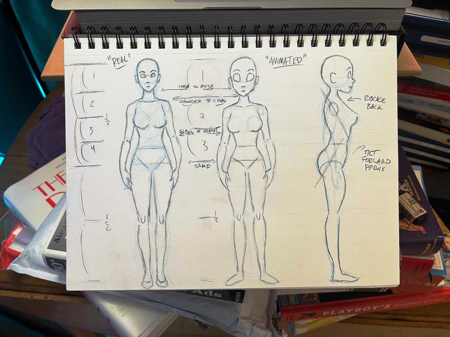 Tom Bancroft - Designing Animated Women - image 3 - student project