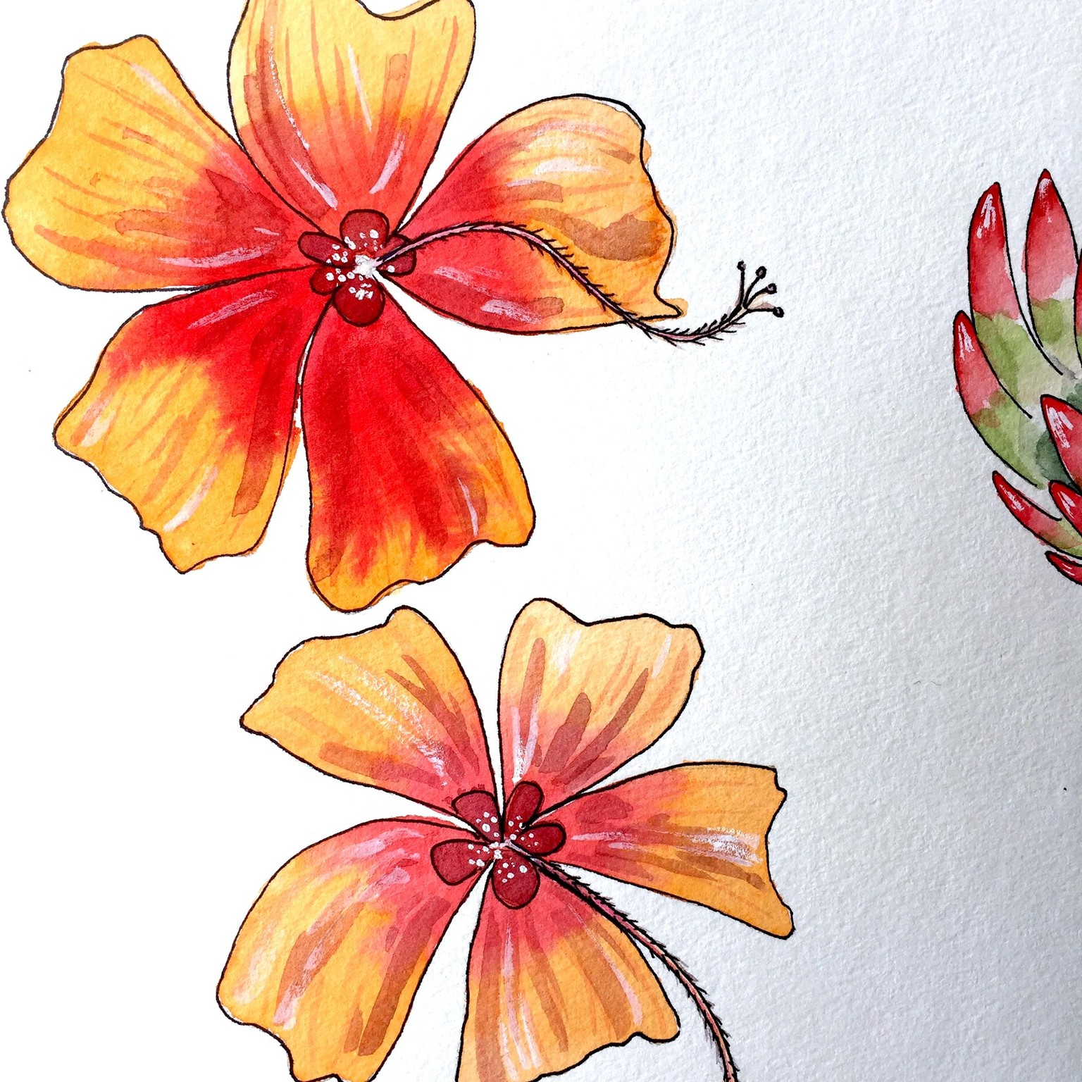 Tropical Flower Heaven - image 2 - student project