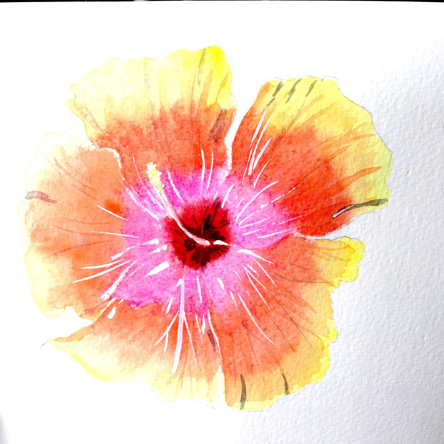 Tropical Flower Heaven - image 3 - student project