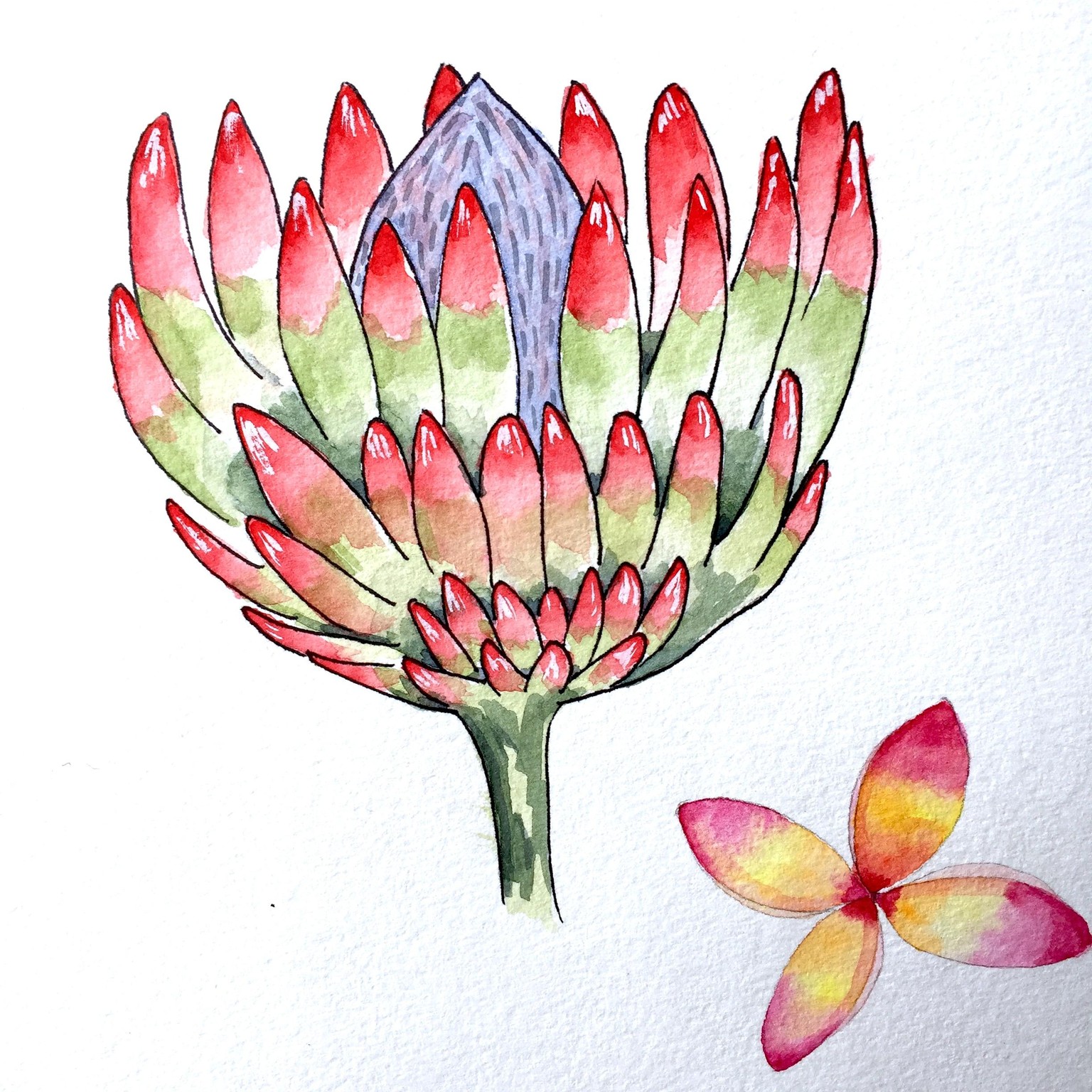 Tropical Flower Heaven - image 5 - student project