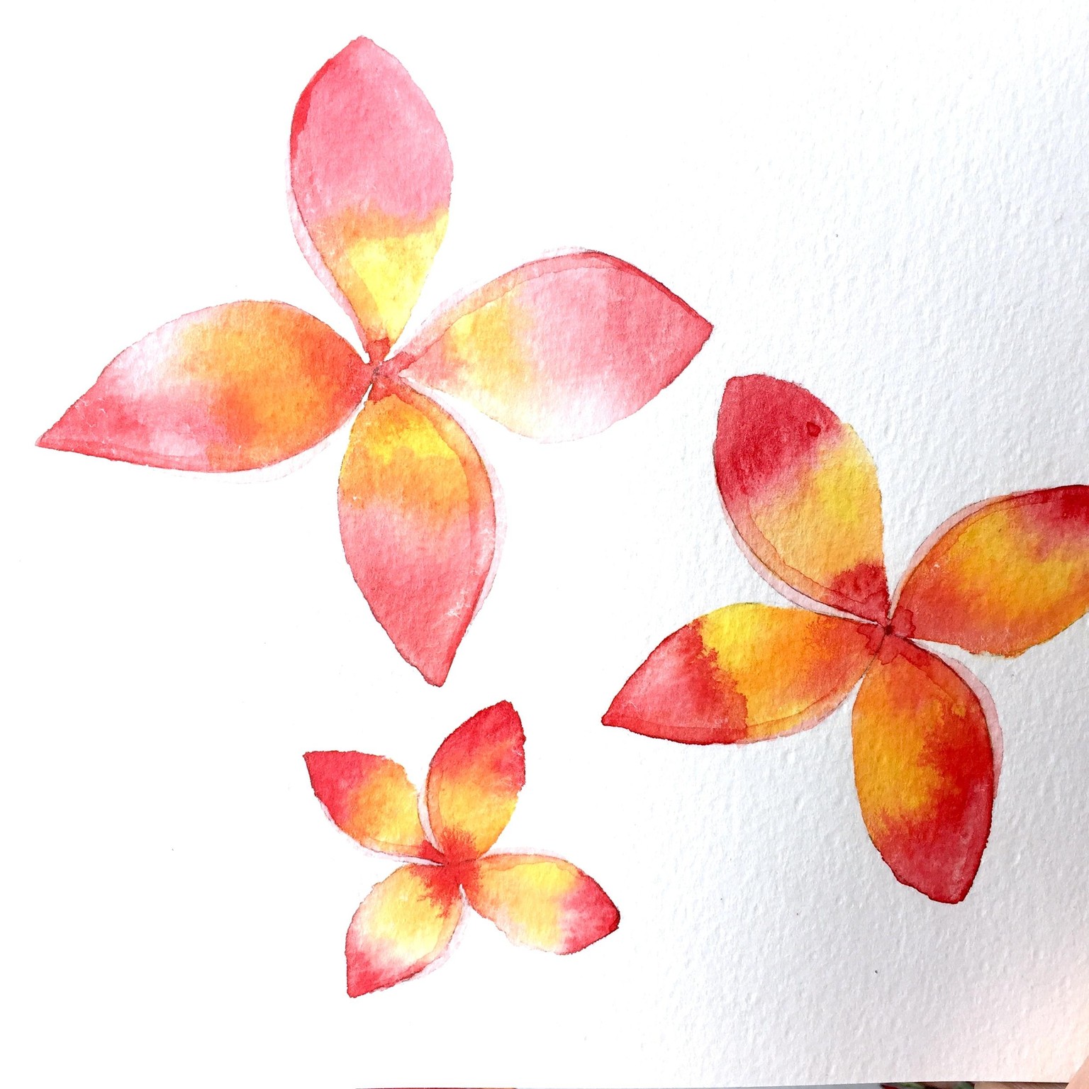 Tropical Flower Heaven - image 6 - student project