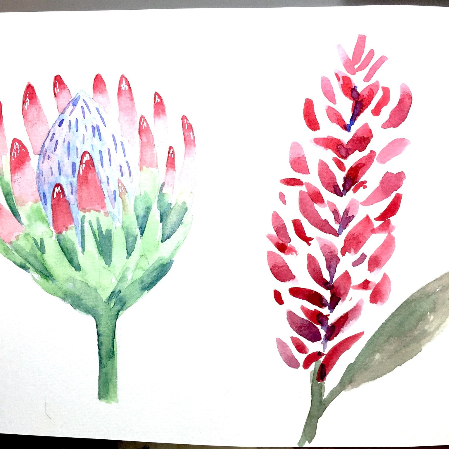 Tropical Flower Heaven - image 4 - student project