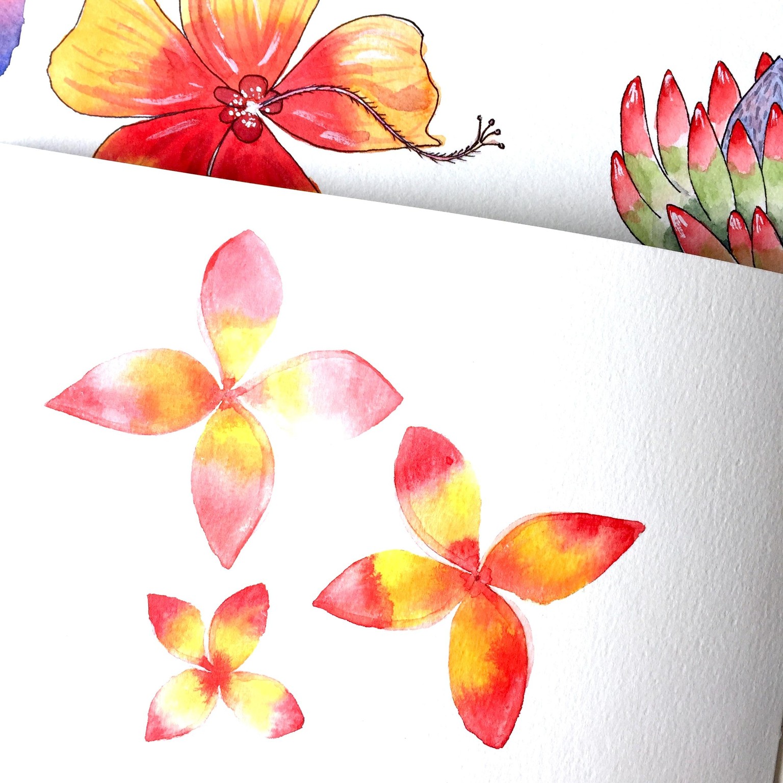 Tropical Flower Heaven - image 1 - student project