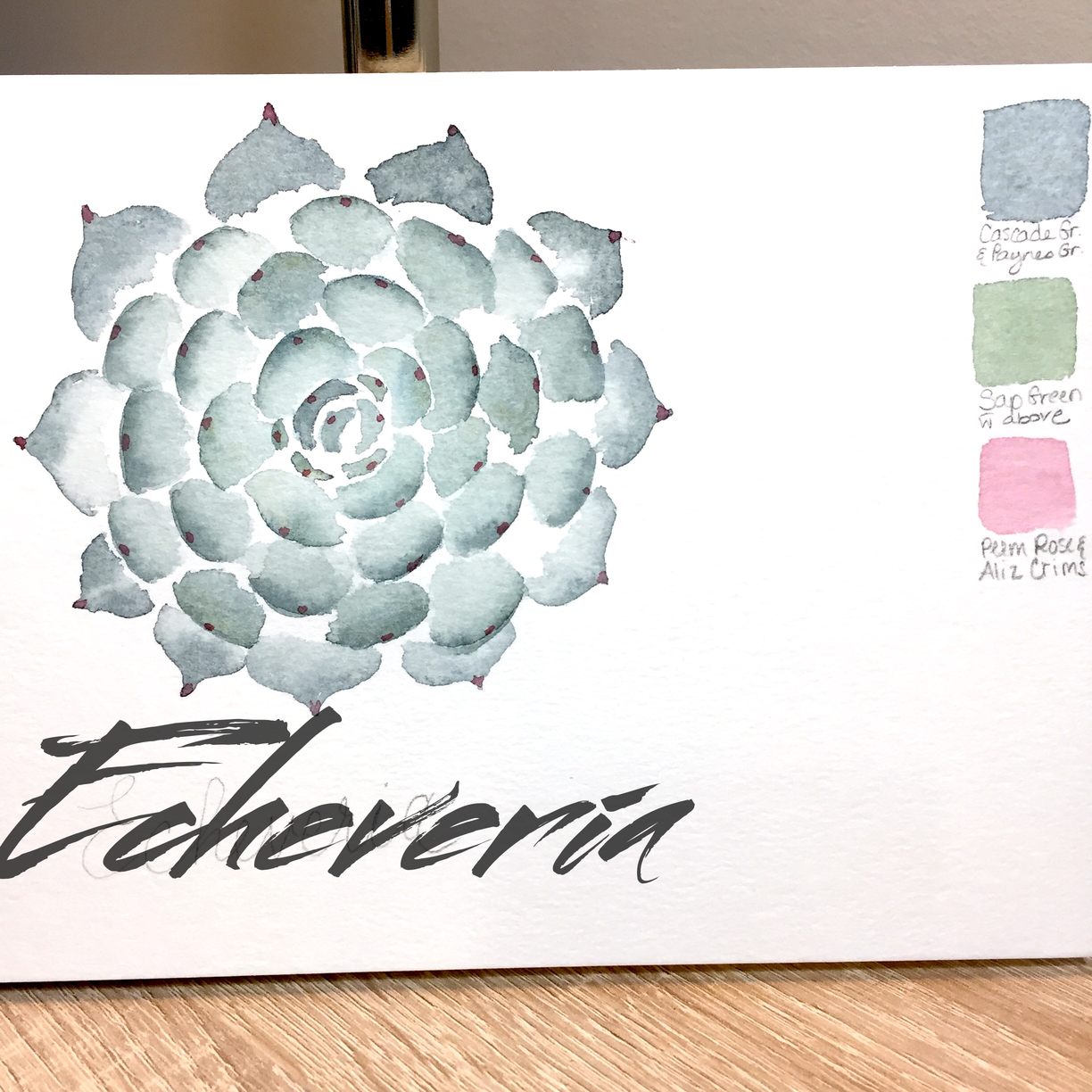 Cacti & Succulents - image 1 - student project