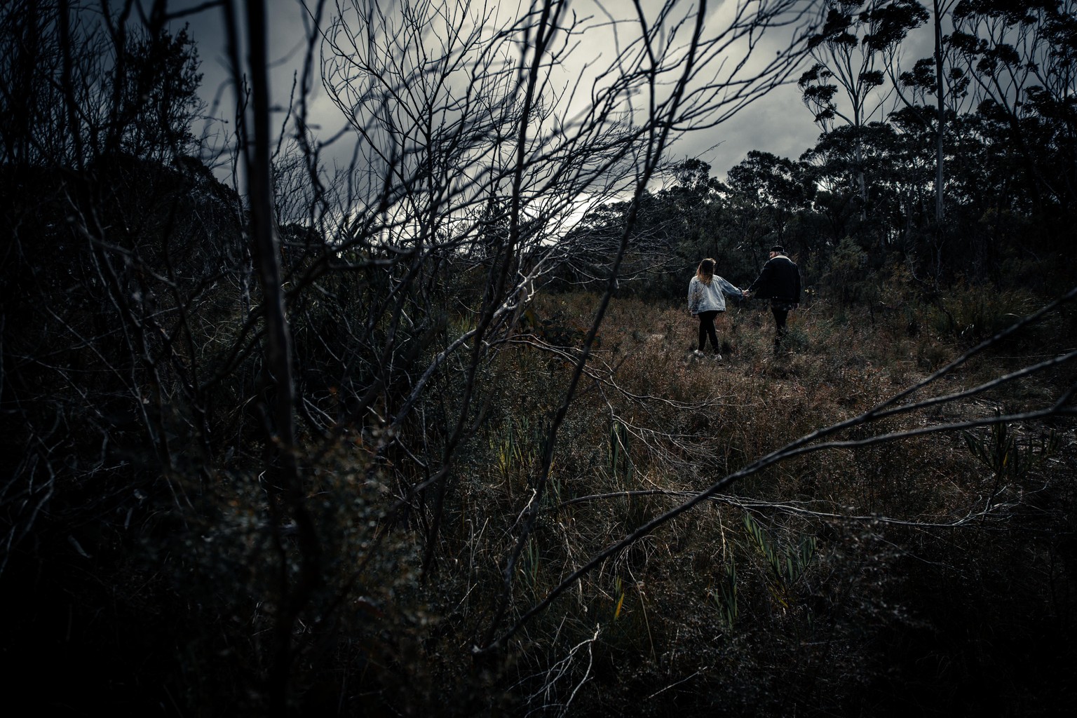 Photos Edited During Course - image 6 - student project