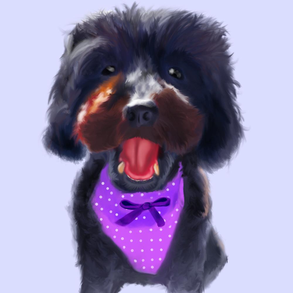 Lola - image 1 - student project