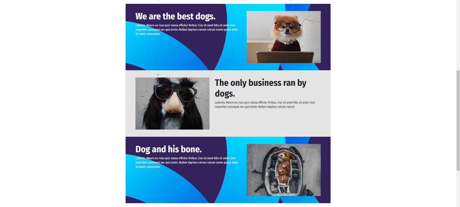 My own website - Robert. M - image 2 - student project