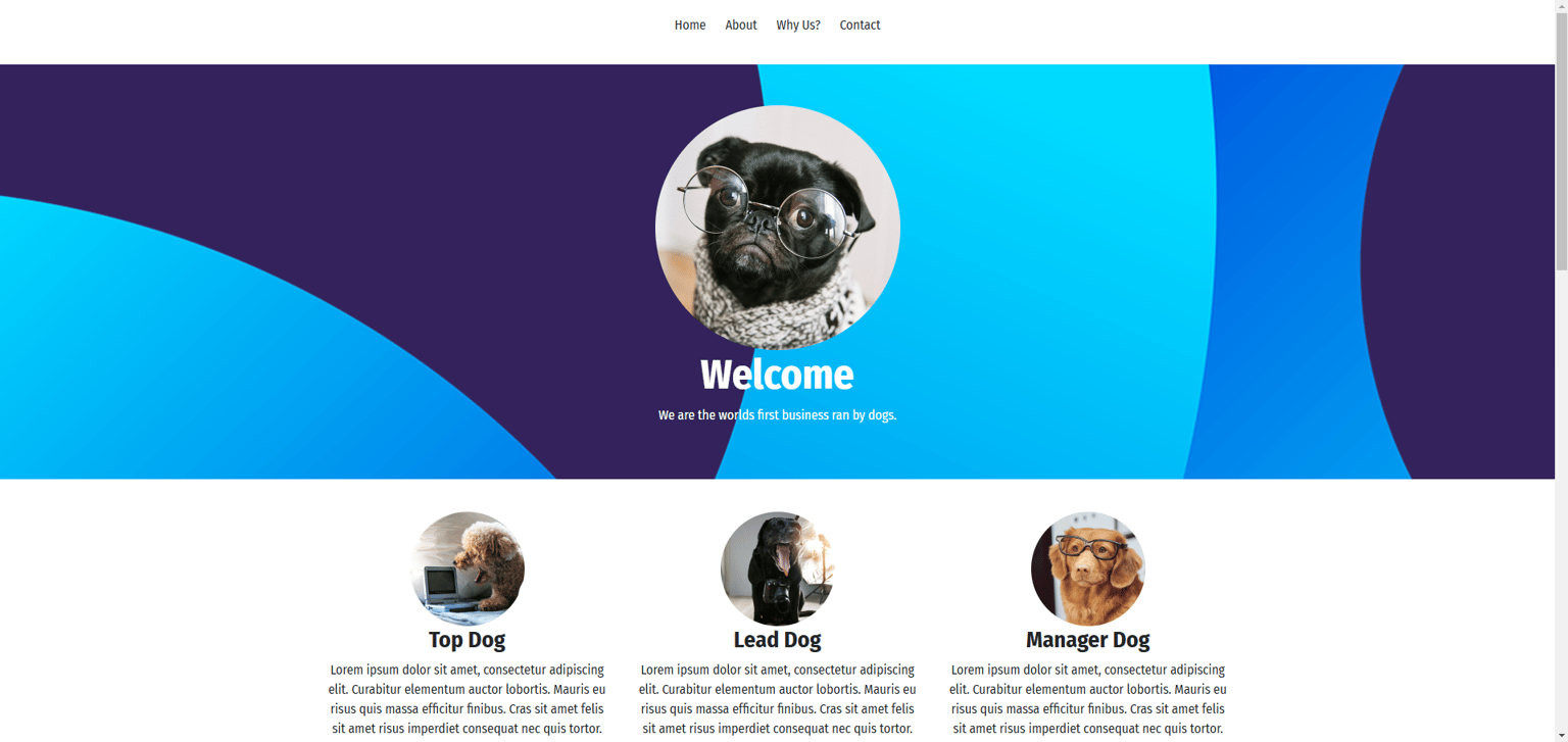My own website - Robert. M - image 1 - student project