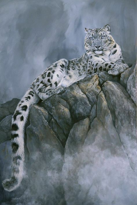 Snow Leopard - image 1 - student project
