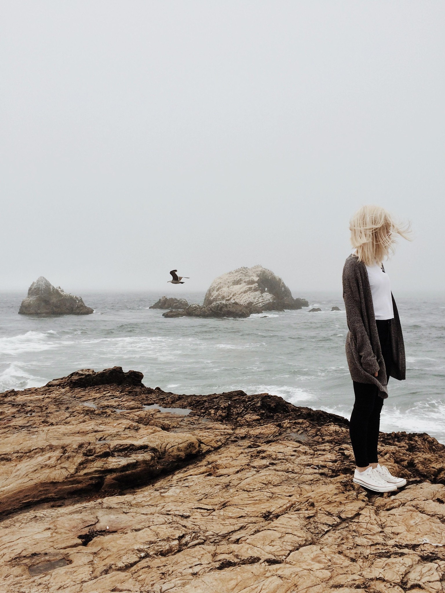 Sutro Baths // San Francisco - image 1 - student project