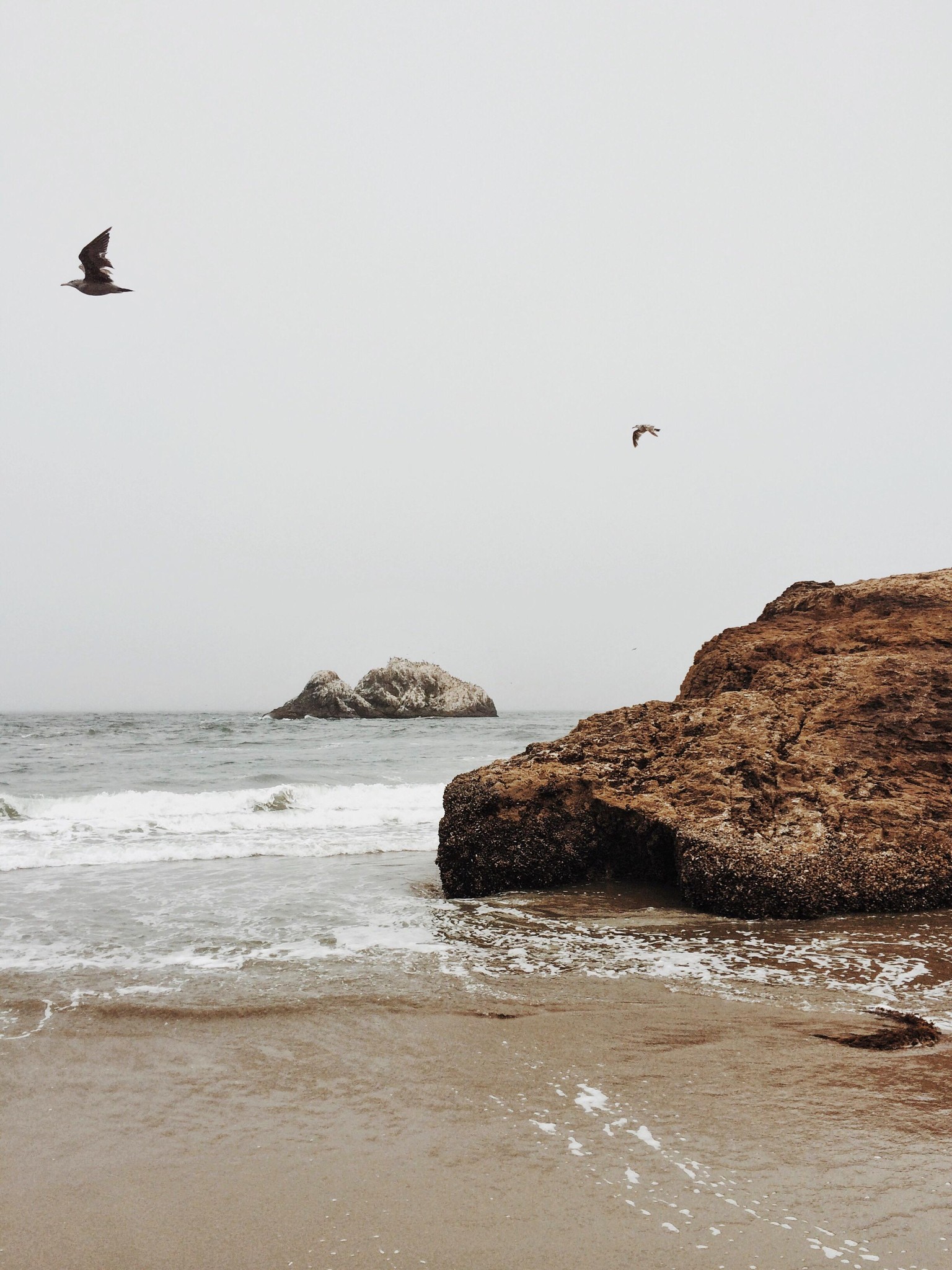 Sutro Baths // San Francisco - image 2 - student project
