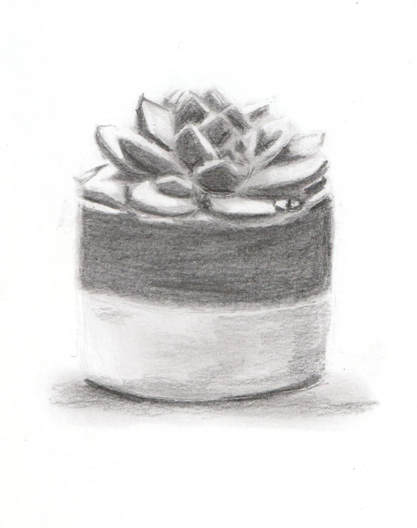 Realistic Drawings - image 1 - student project