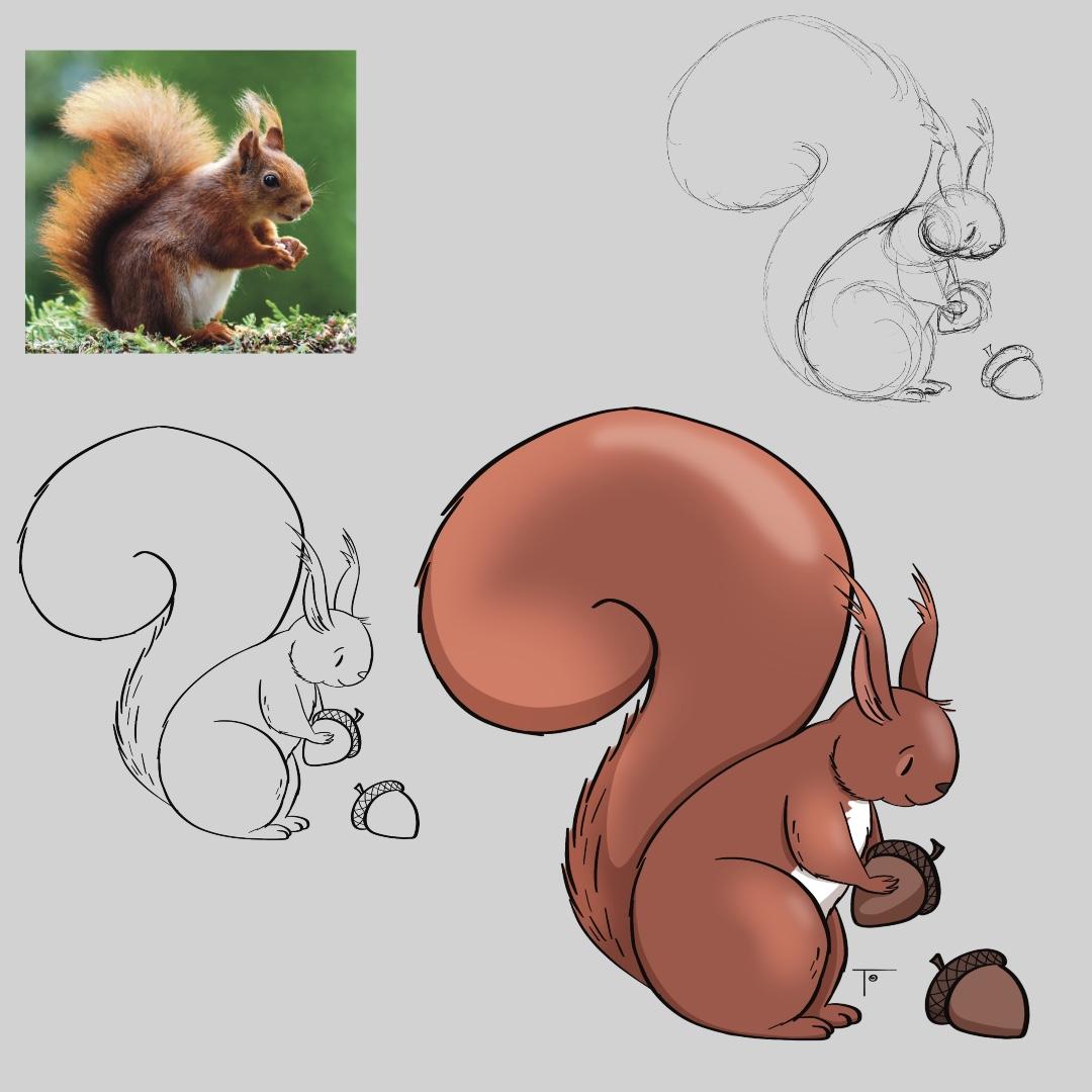 Squirrel Drawing Practice - image 1 - student project