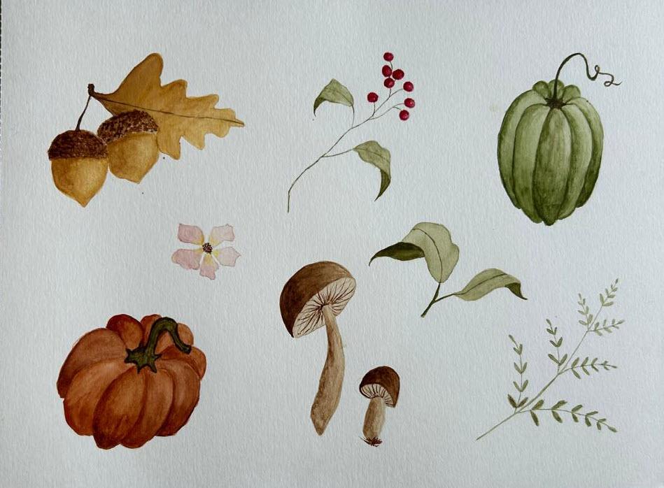 Autumn watercolor illustrations - image 1 - student project
