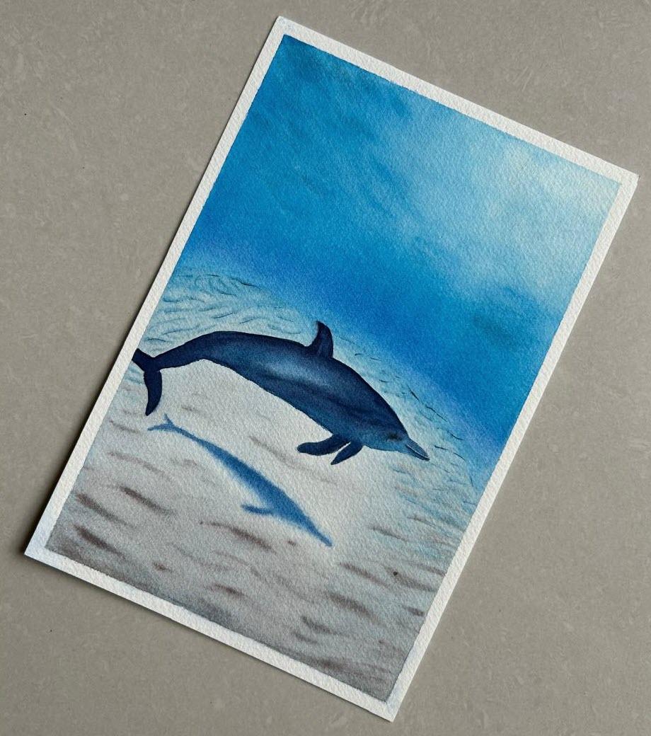 Paint a dolphin by the seabed - image 1 - student project