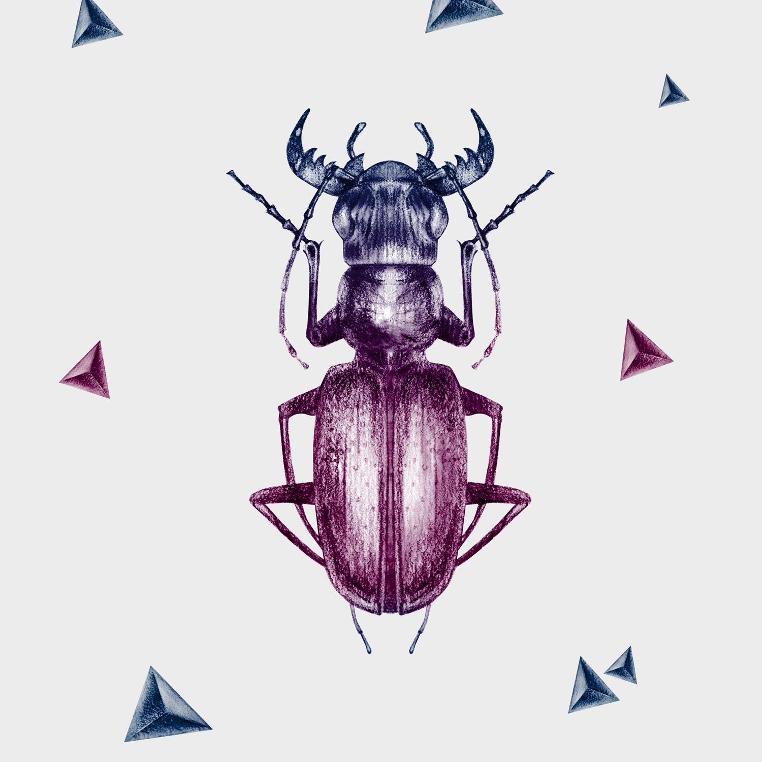 My quick drawing experiment  - image 1 - student project