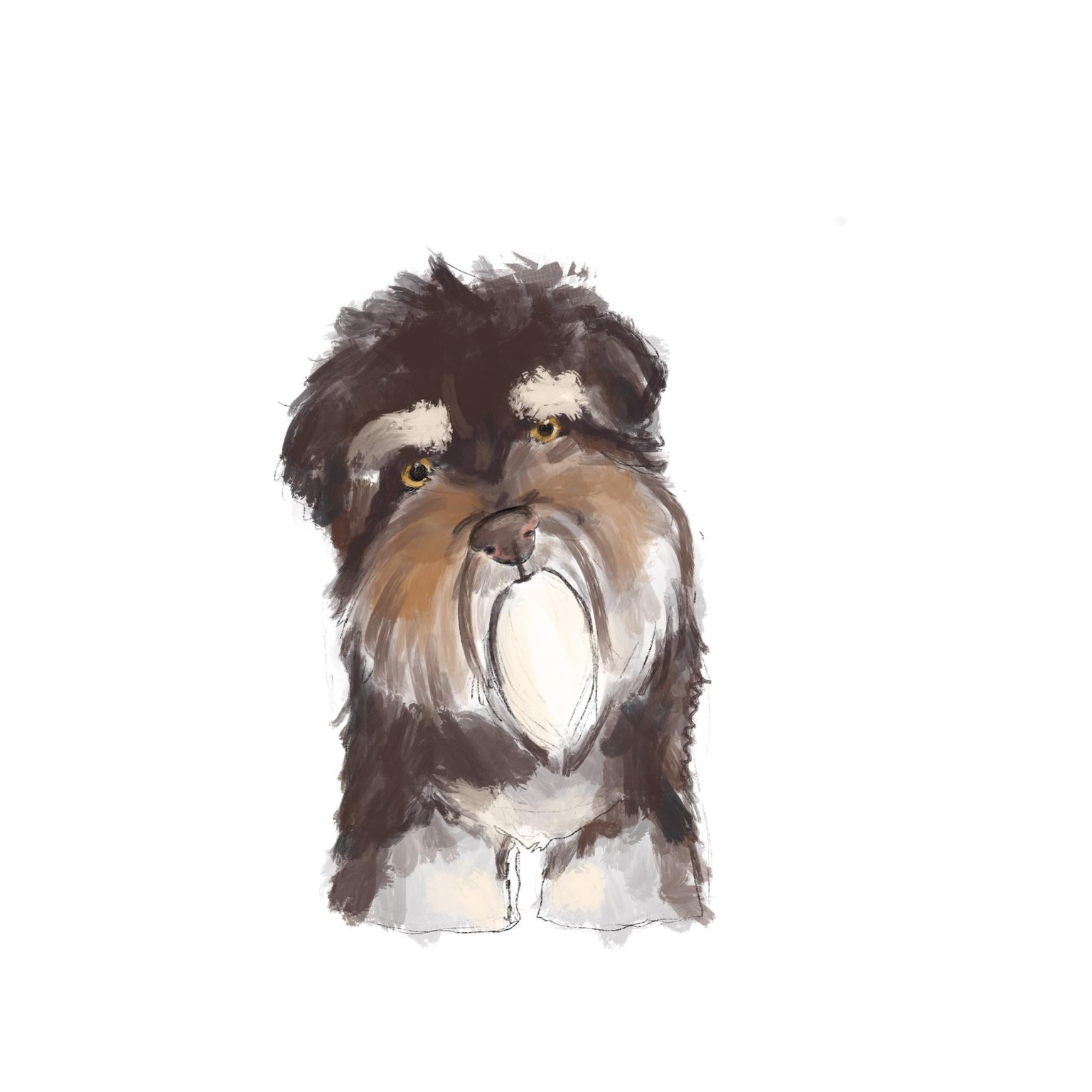 Nash My Boy - image 4 - student project