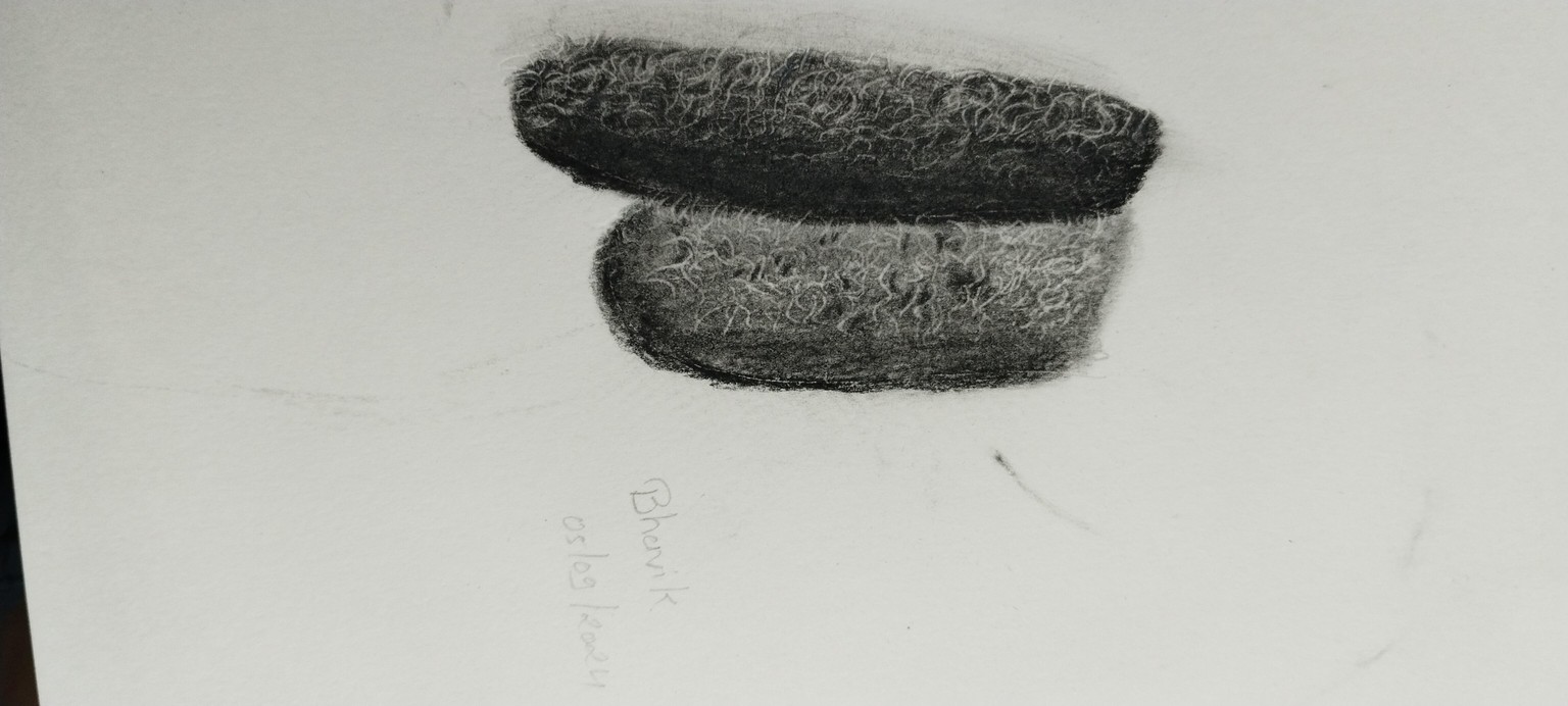 Hair and beard - image 2 - student project