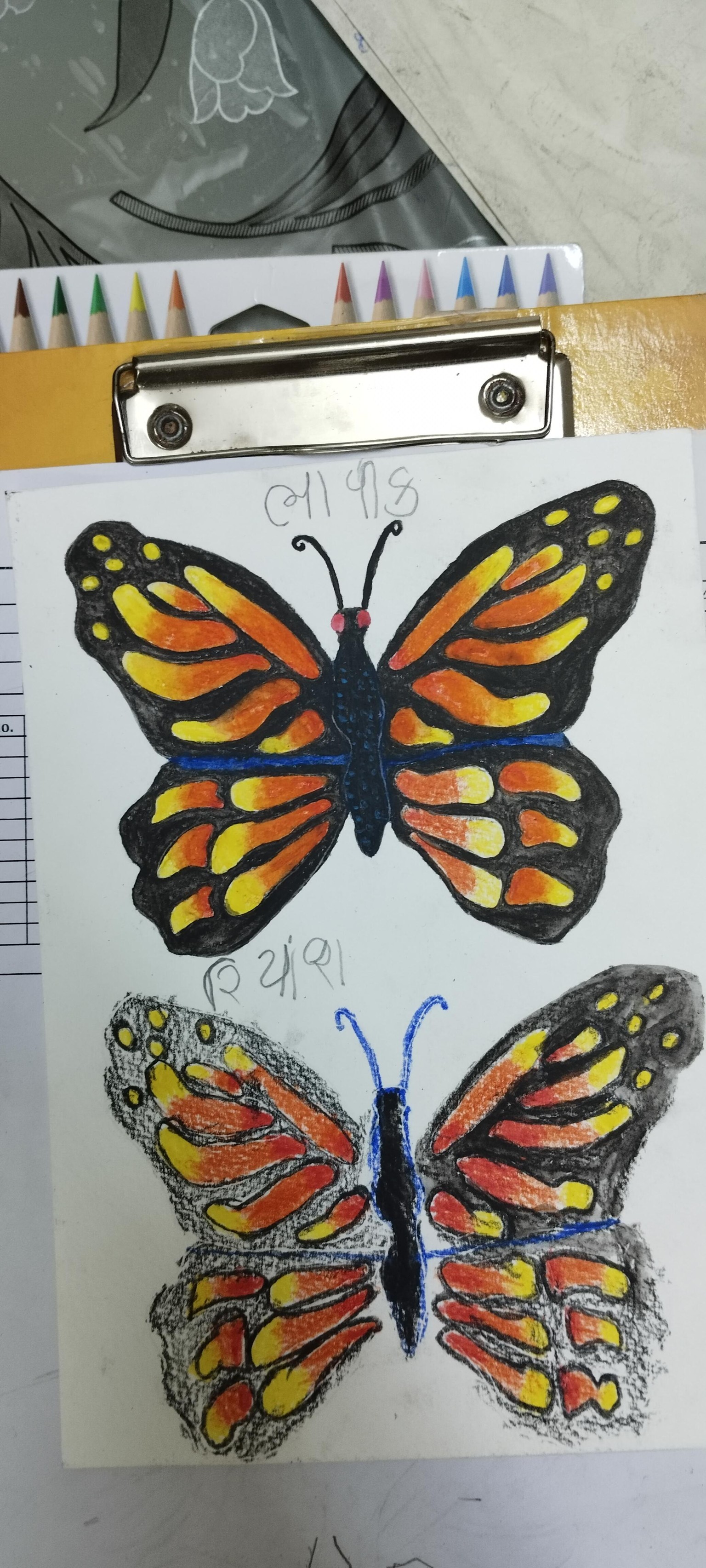 Beautiful landscapes - image 1 - student project