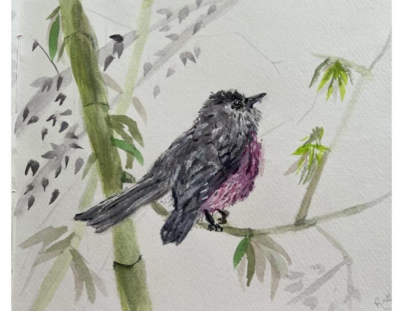 Birds of a Different Feather - image 1 - student project