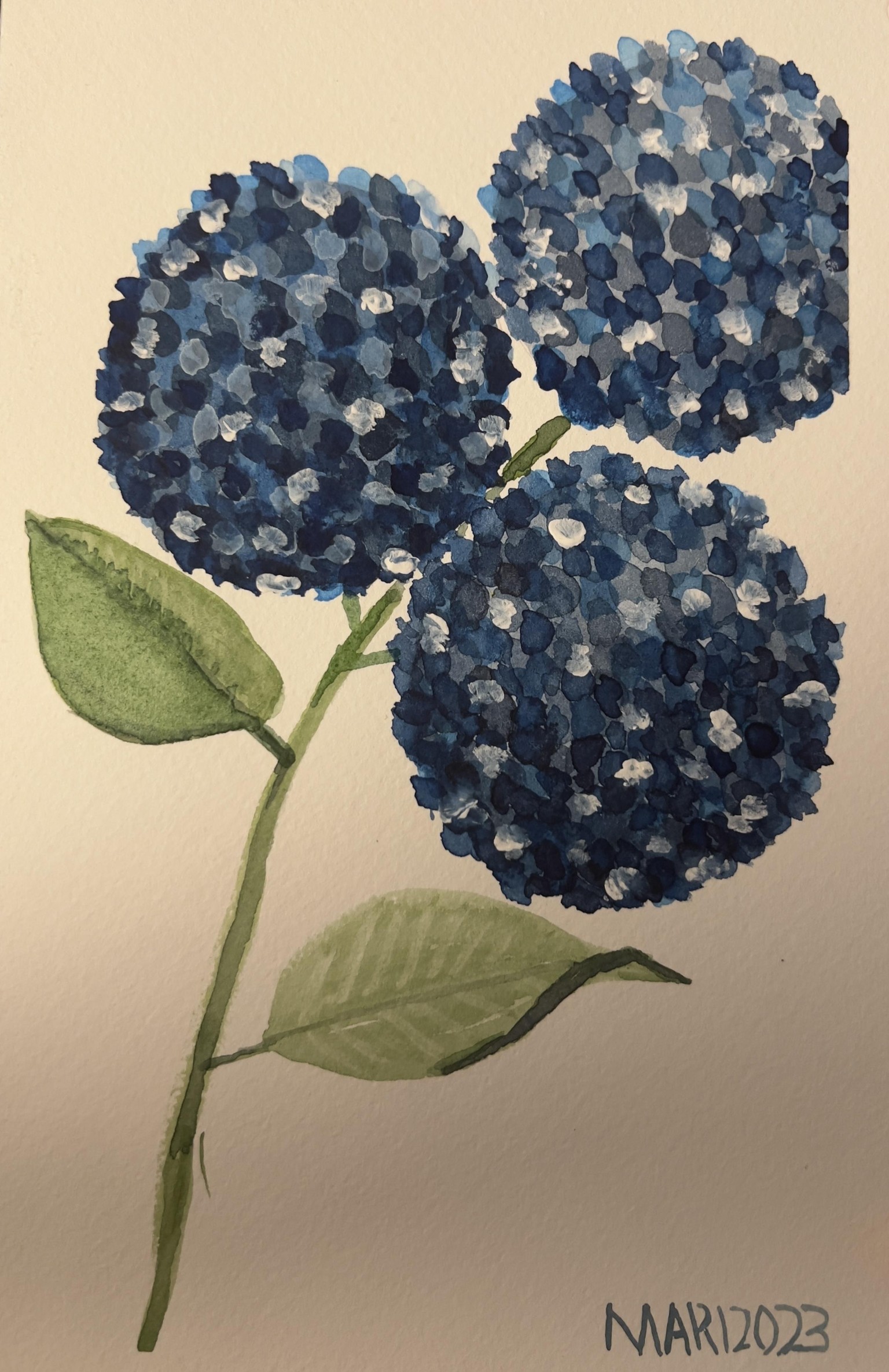 Spring Flowers - image 5 - student project