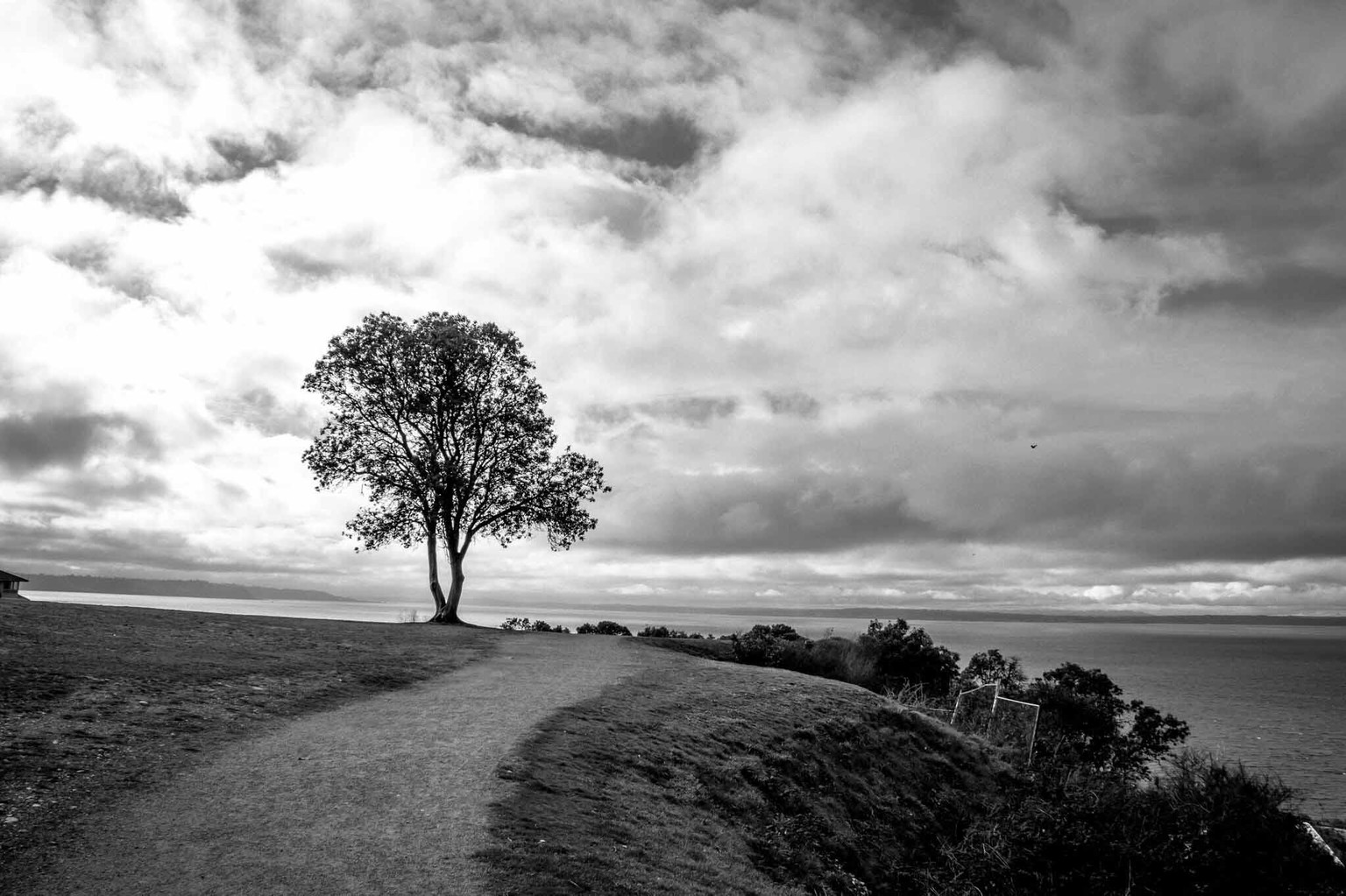 Adventures at Richmond Beach - image 1 - student project