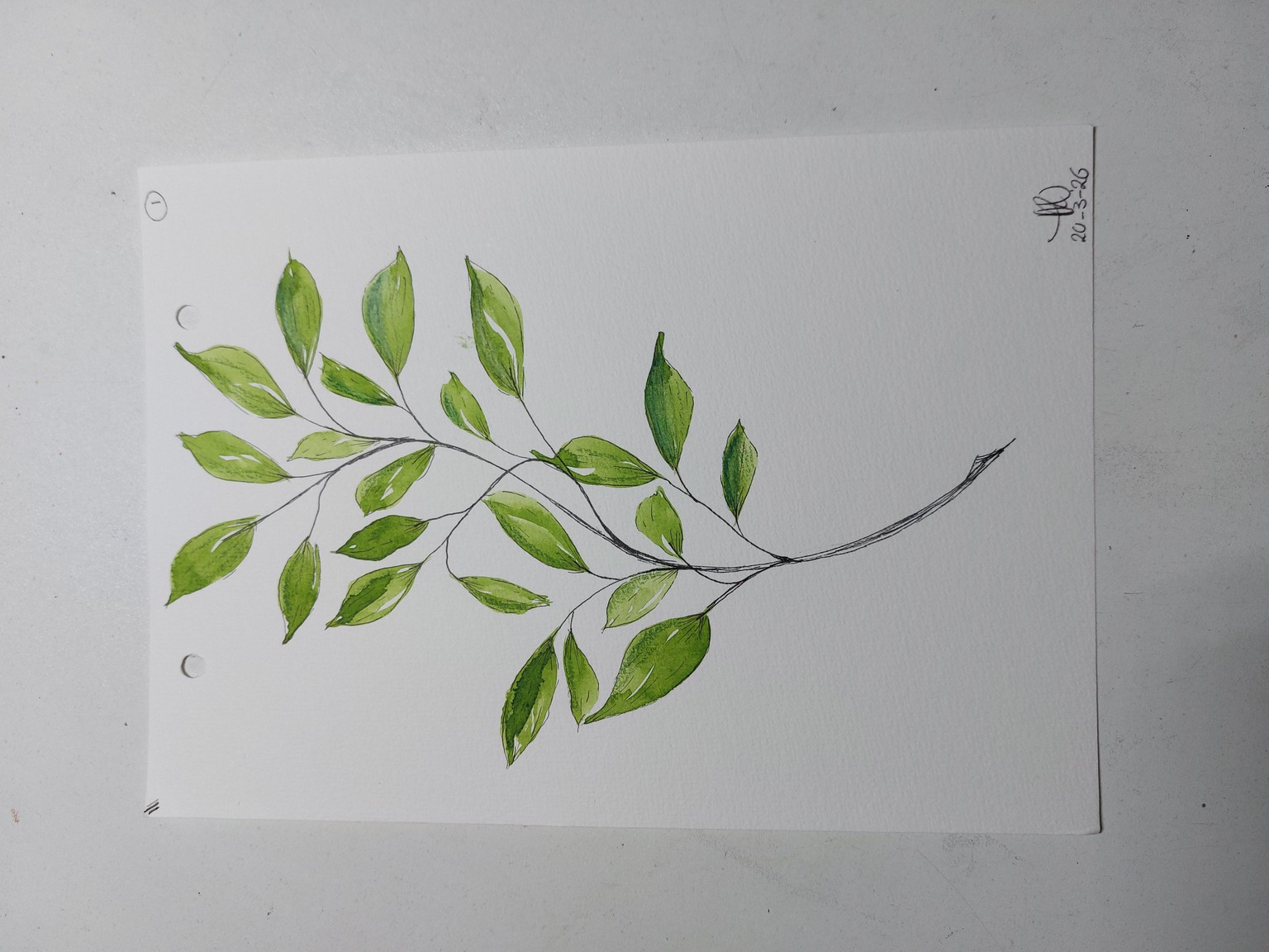 Wedge brush and watercolor leaves - image 2 - student project