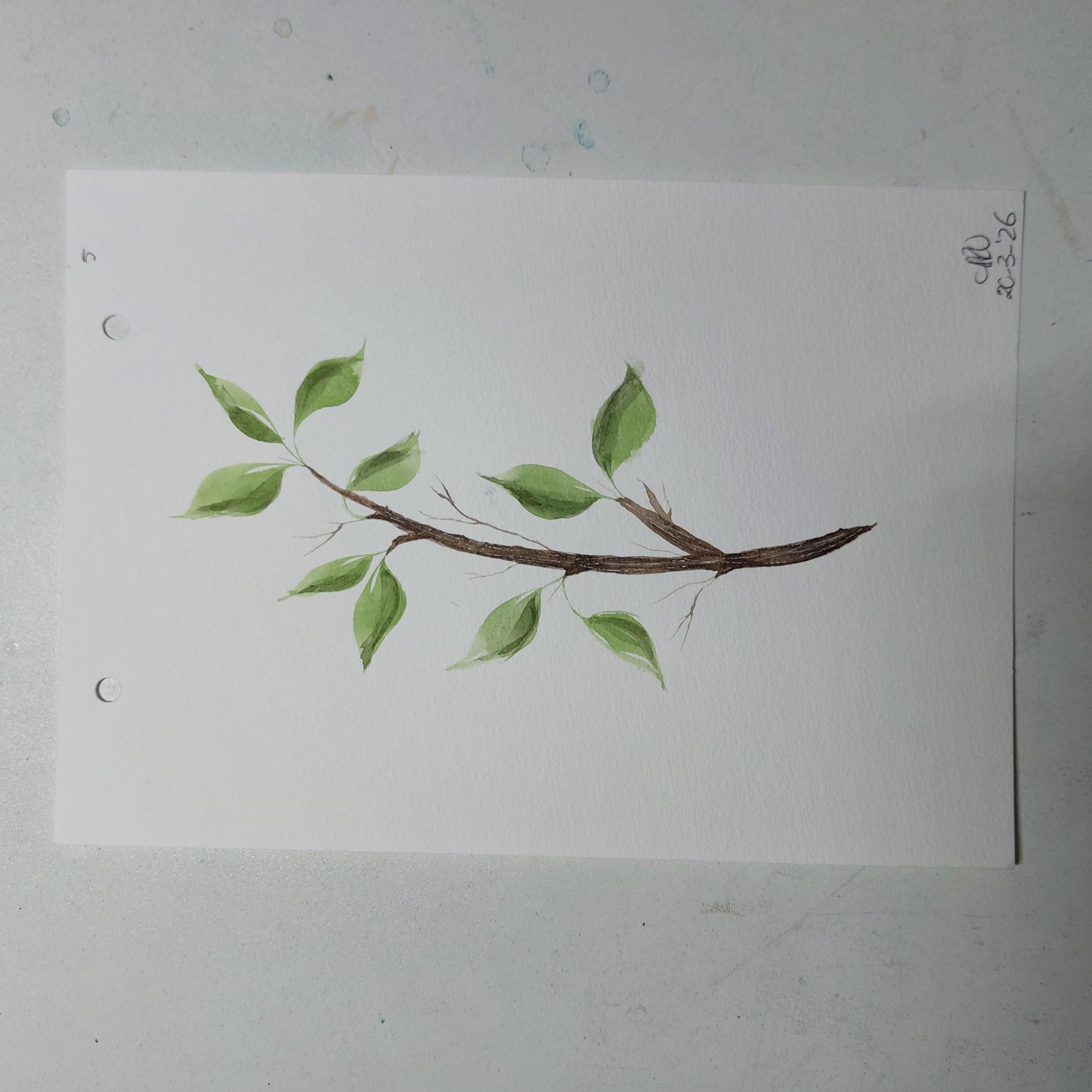 Wedge brush and watercolor leaves - image 1 - student project
