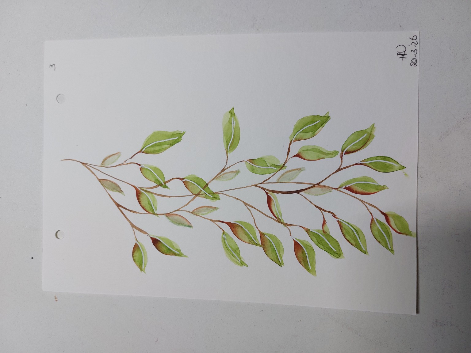 Wedge brush and watercolor leaves - image 5 - student project