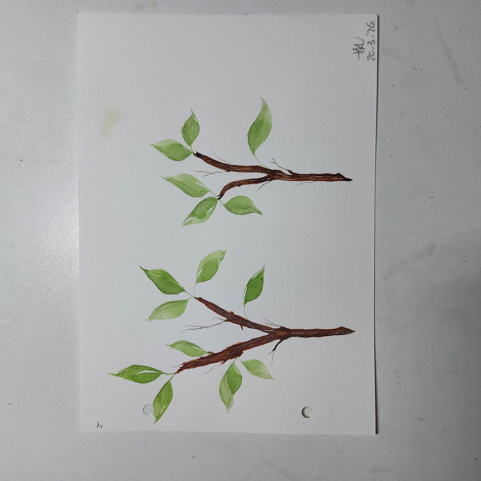 Wedge brush and watercolor leaves - image 4 - student project