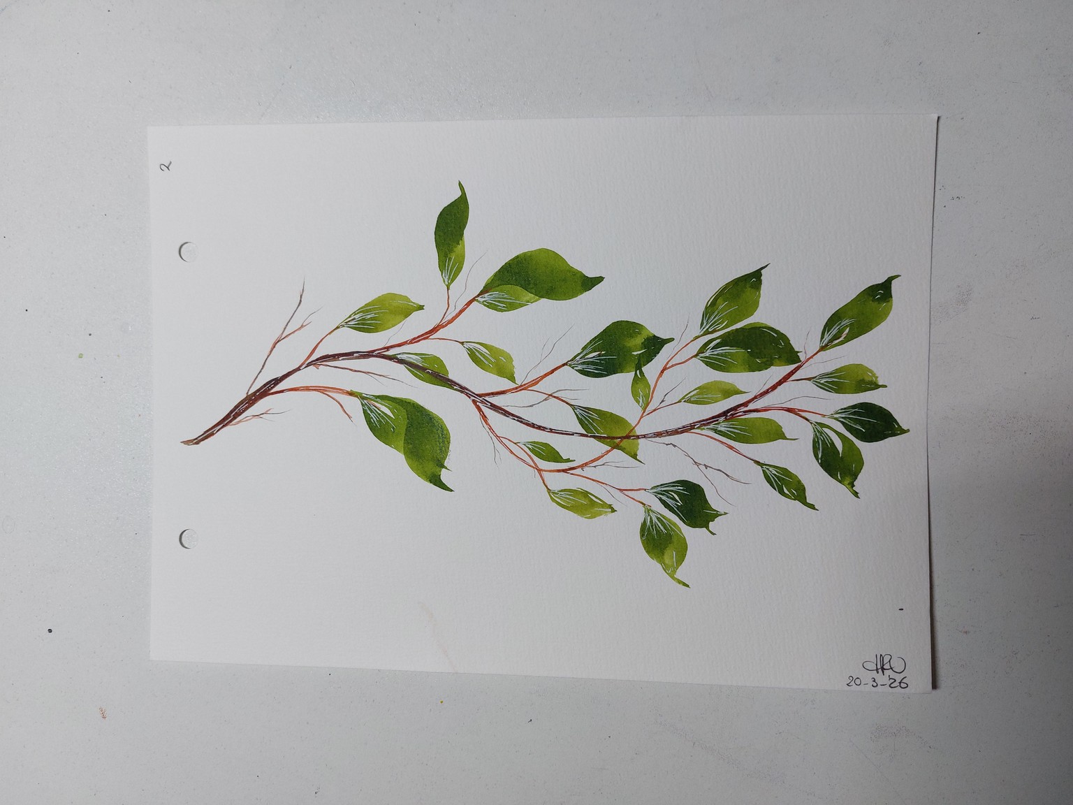 Wedge brush and watercolor leaves - image 3 - student project