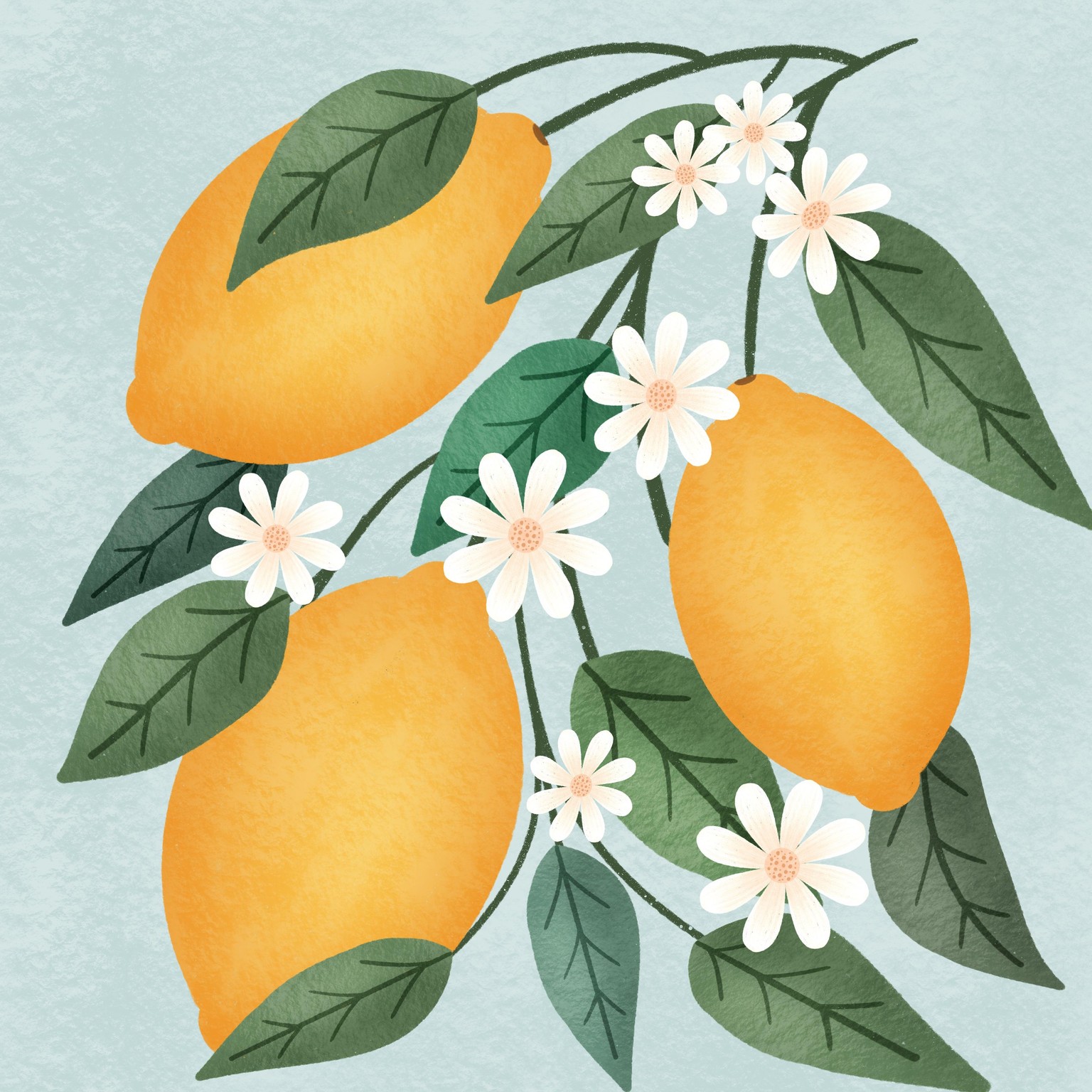 Lemon Blossom - image 3 - student project