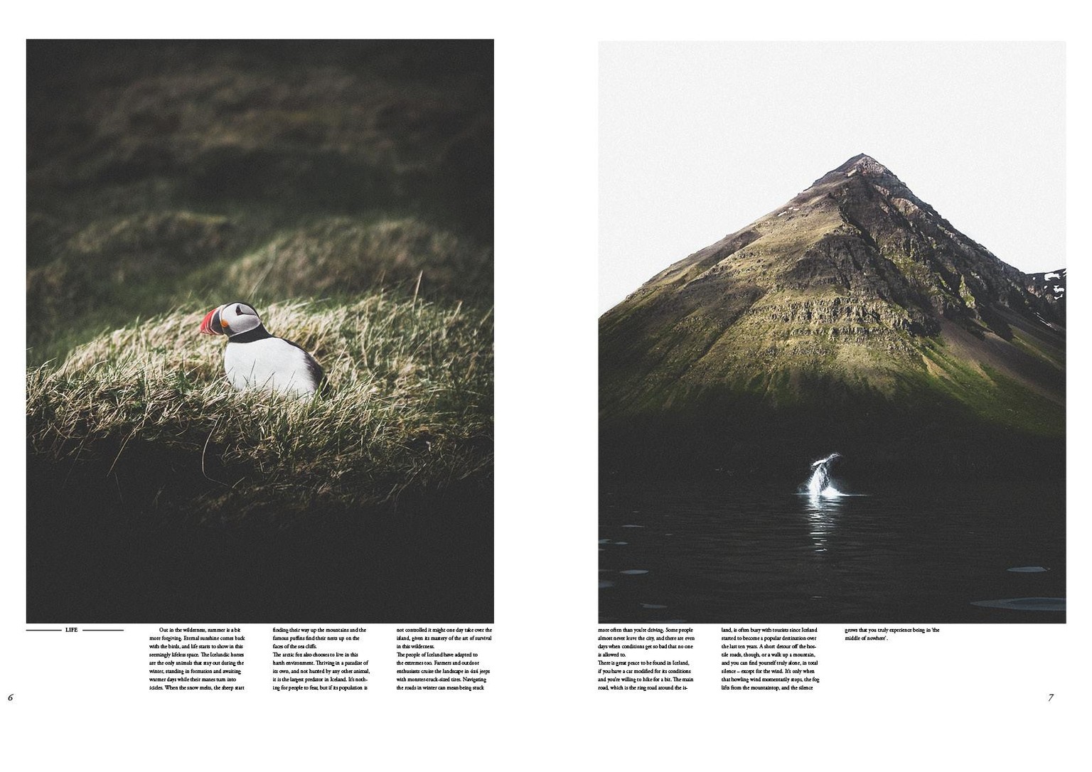 Layout design - image 8 - student project