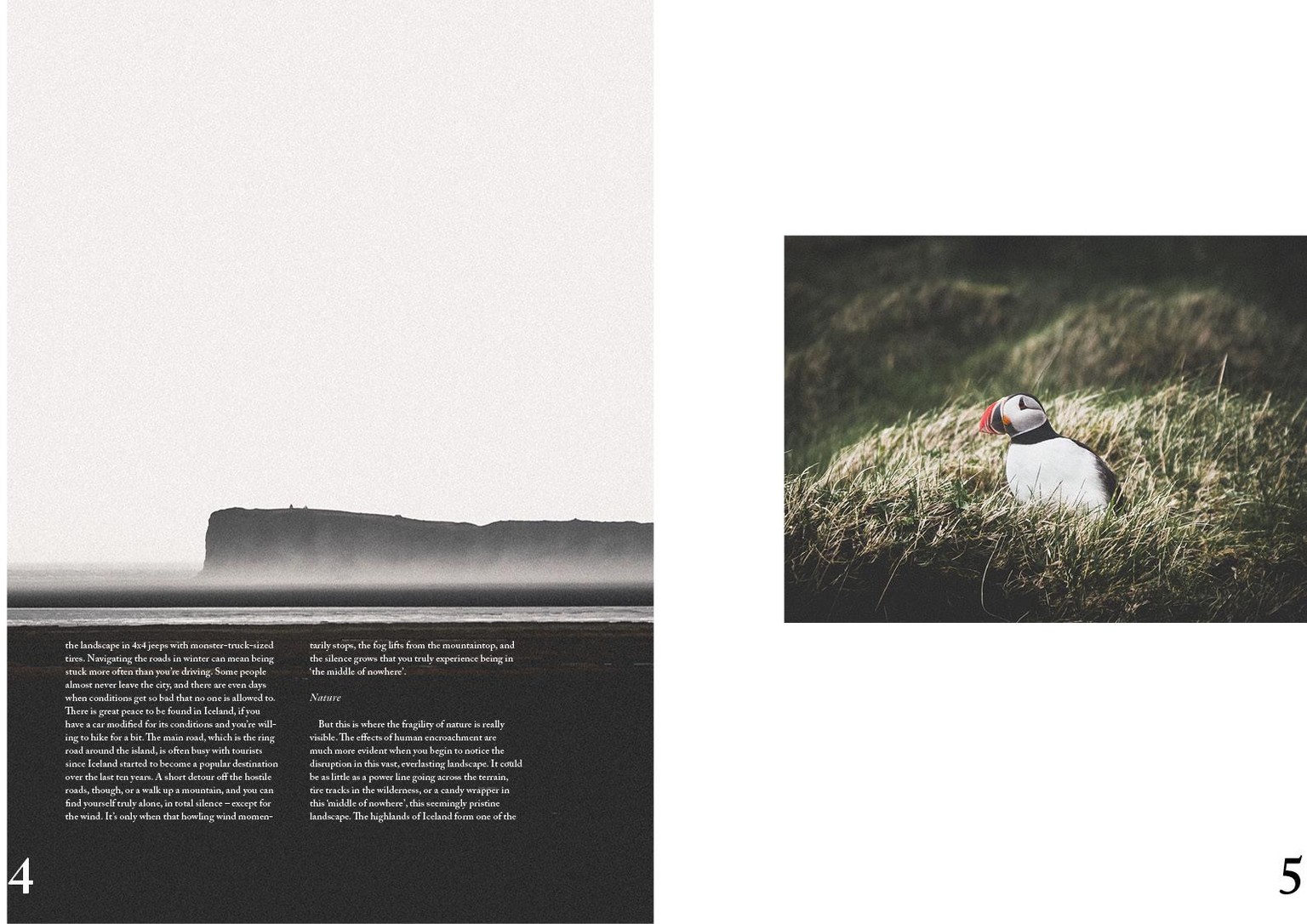Layout design - image 2 - student project