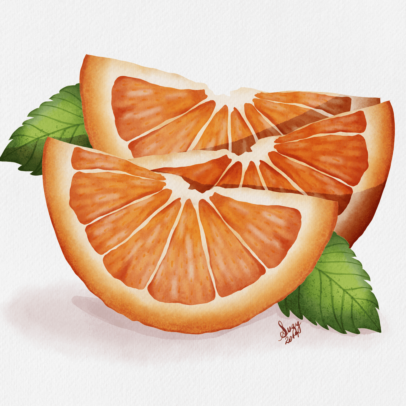 Watercolor Oranges - image 1 - student project