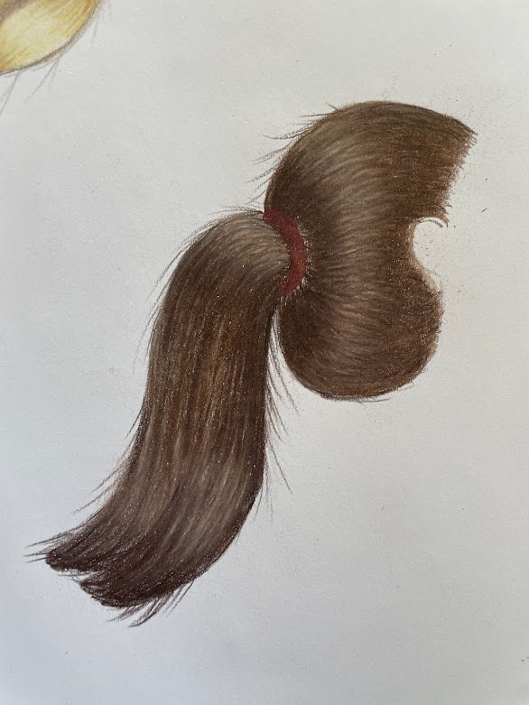 Brown Ponytail 04/22 - image 1 - student project