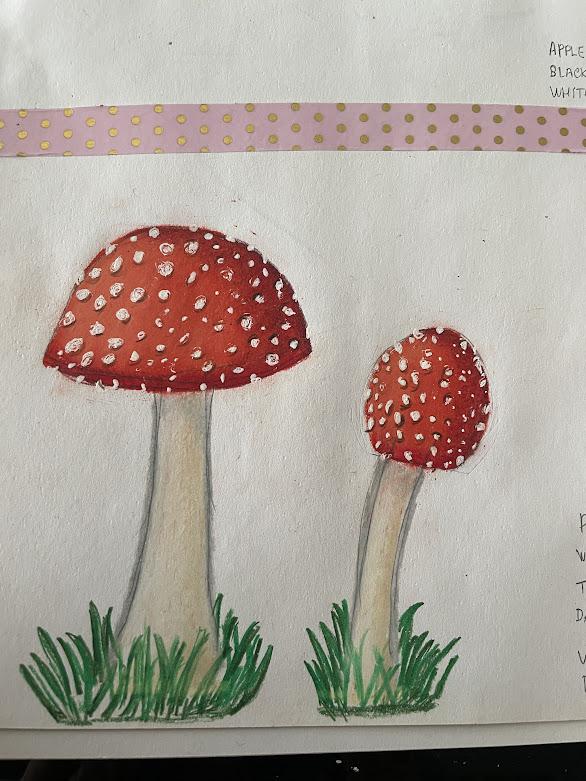 mushroom - image 1 - student project