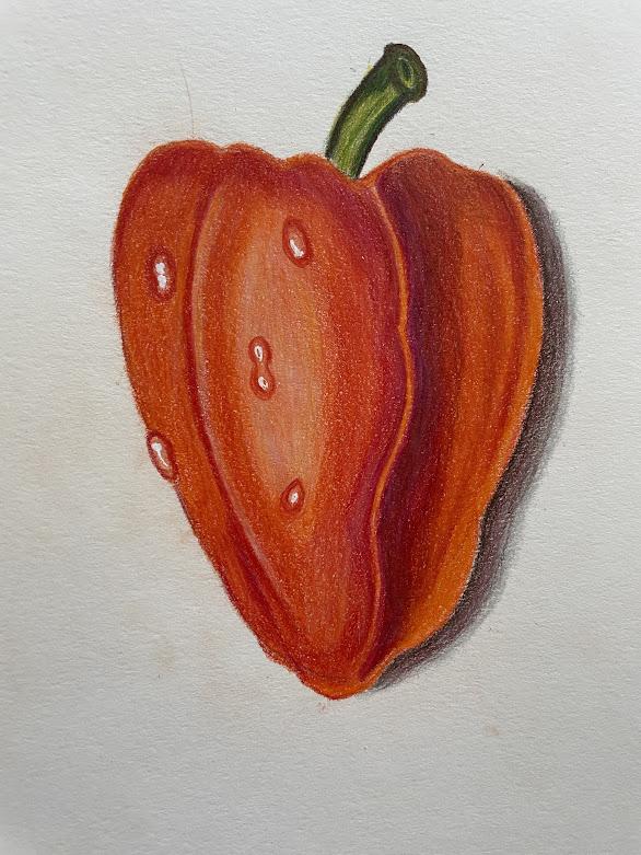 Pepper - image 1 - student project
