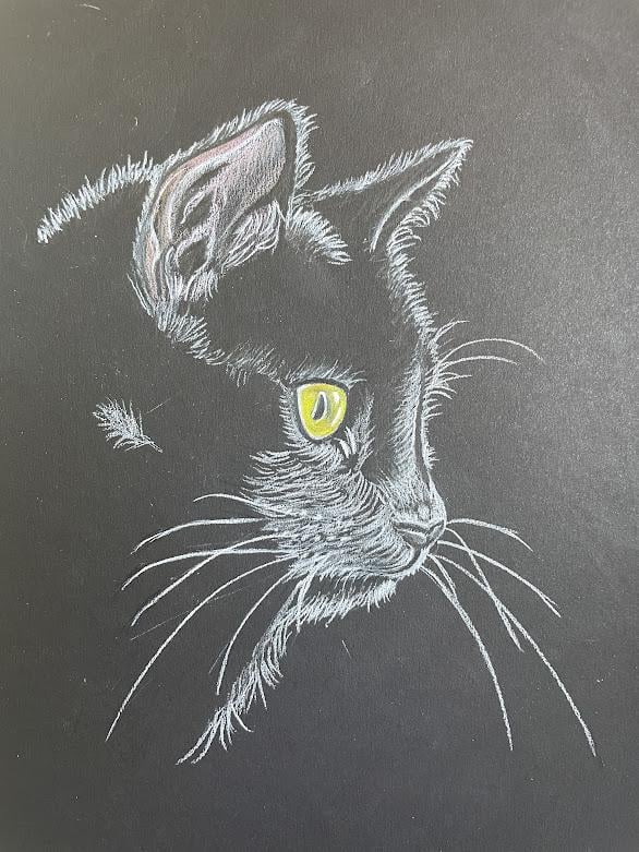 Black Cat - image 1 - student project