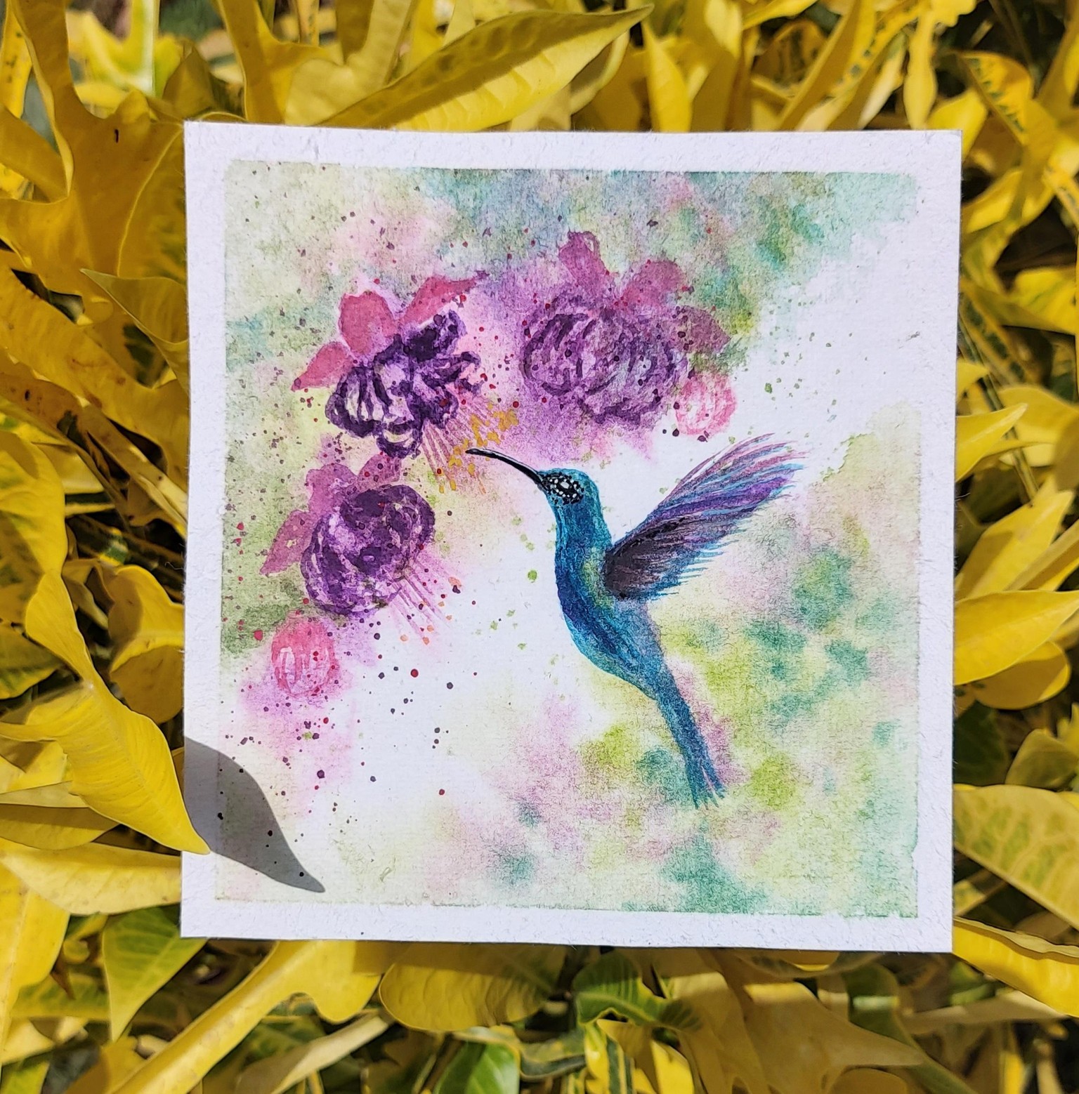 Hummingbird - image 2 - student project