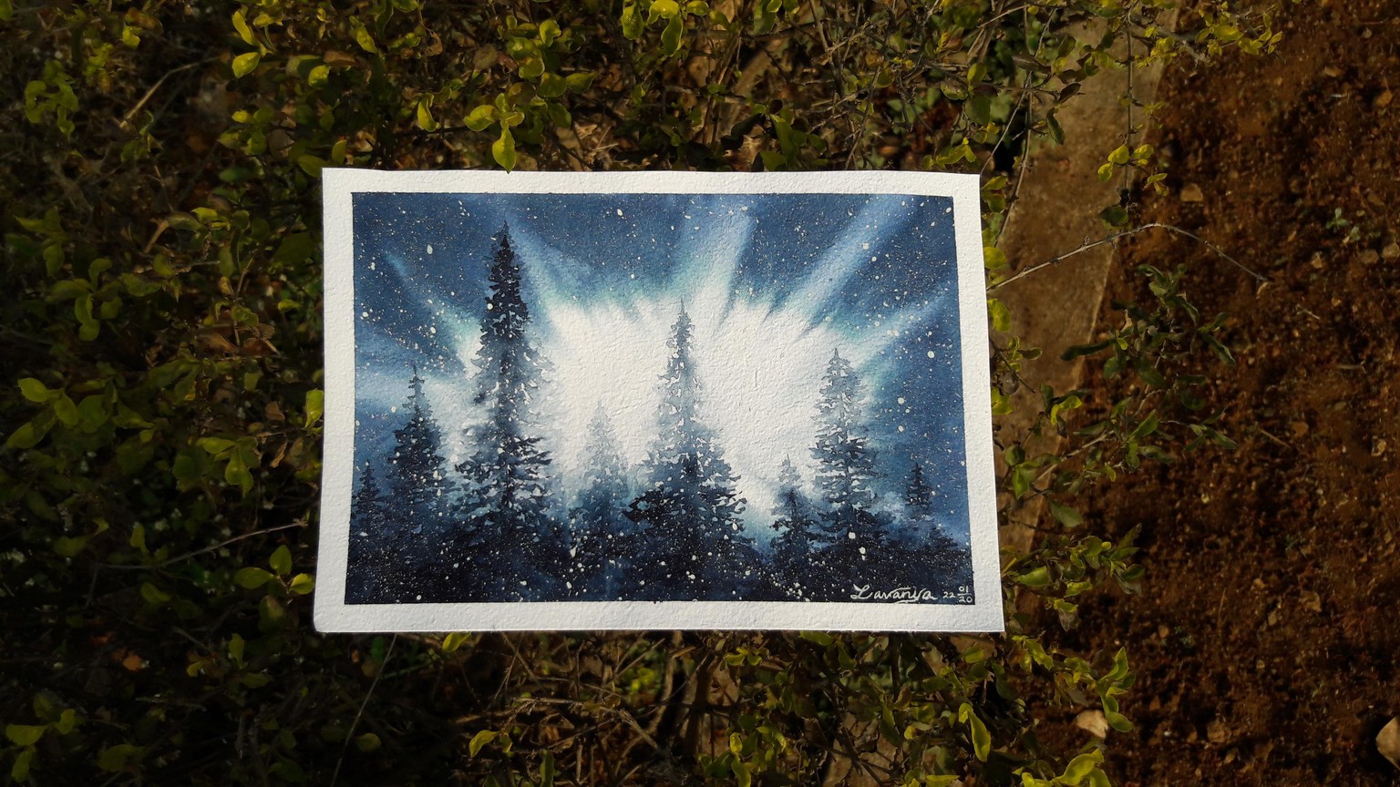 Backlit Pines Landscape - image 1 - student project