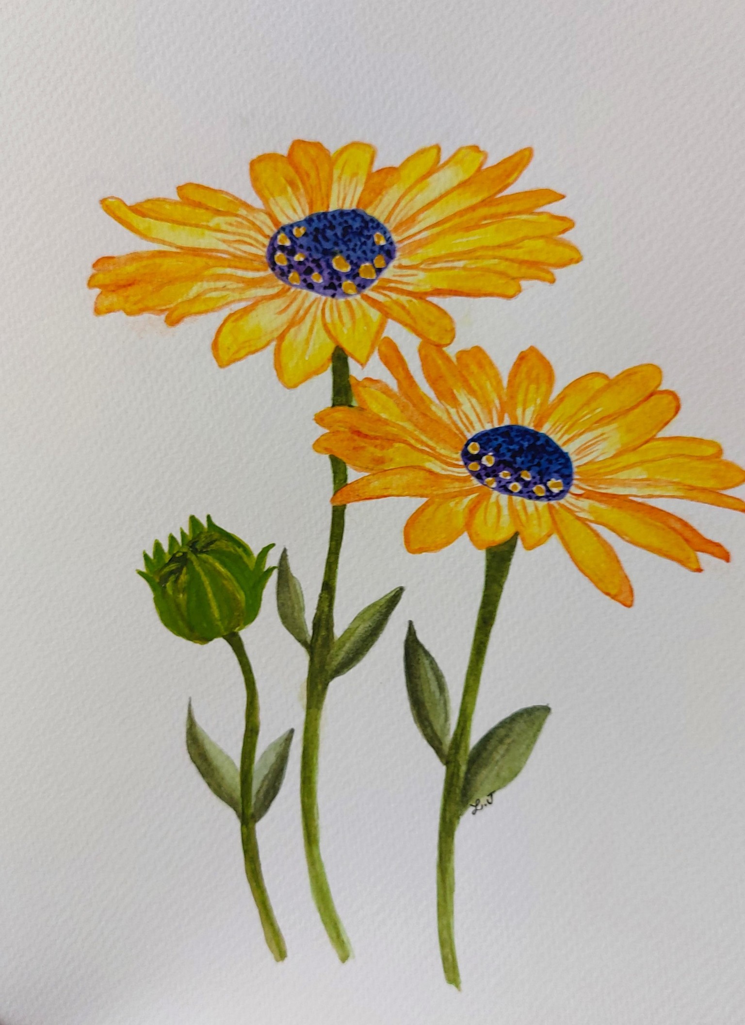Yellow Daisies - image 1 - student project