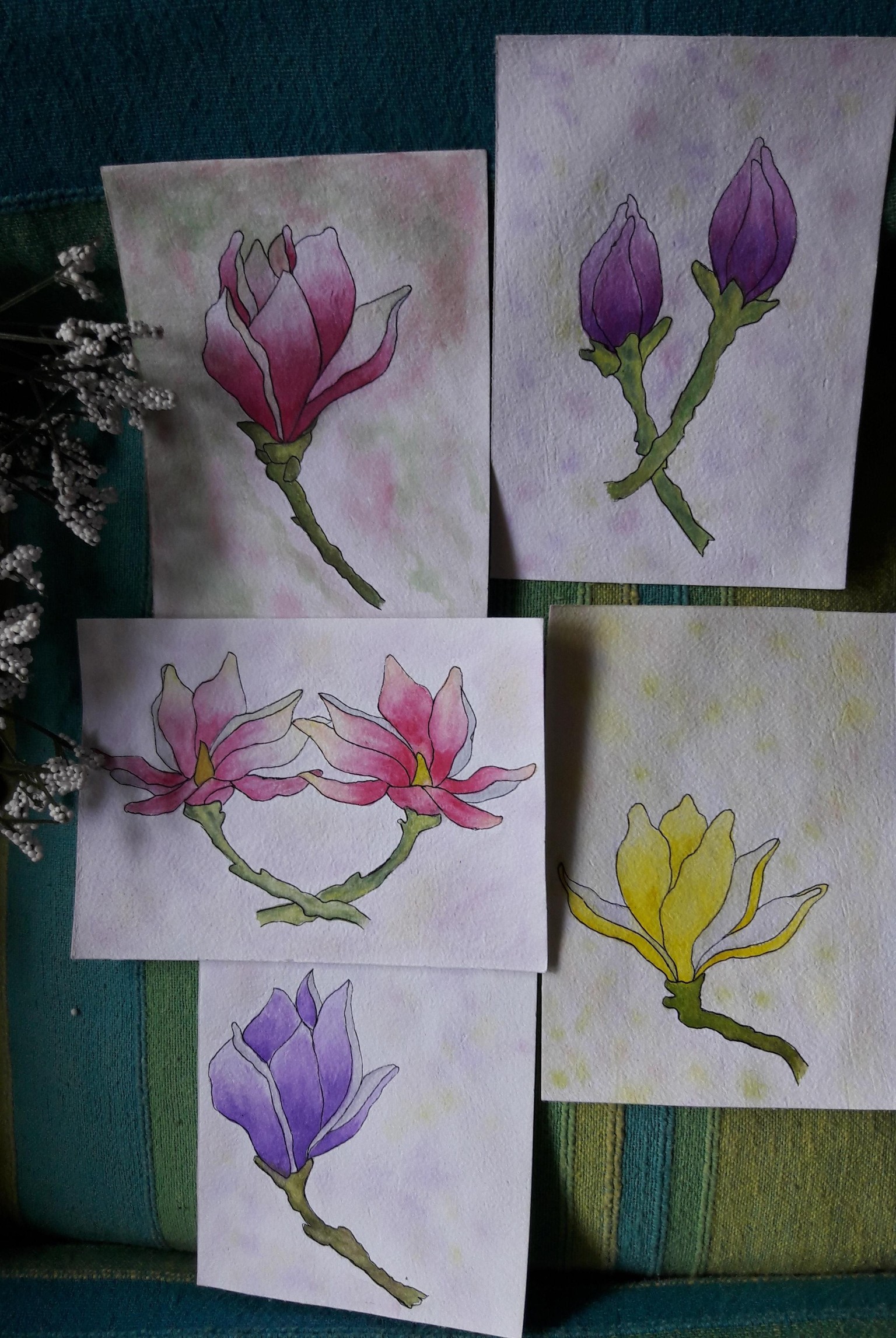 Pretty Magnolias - image 1 - student project