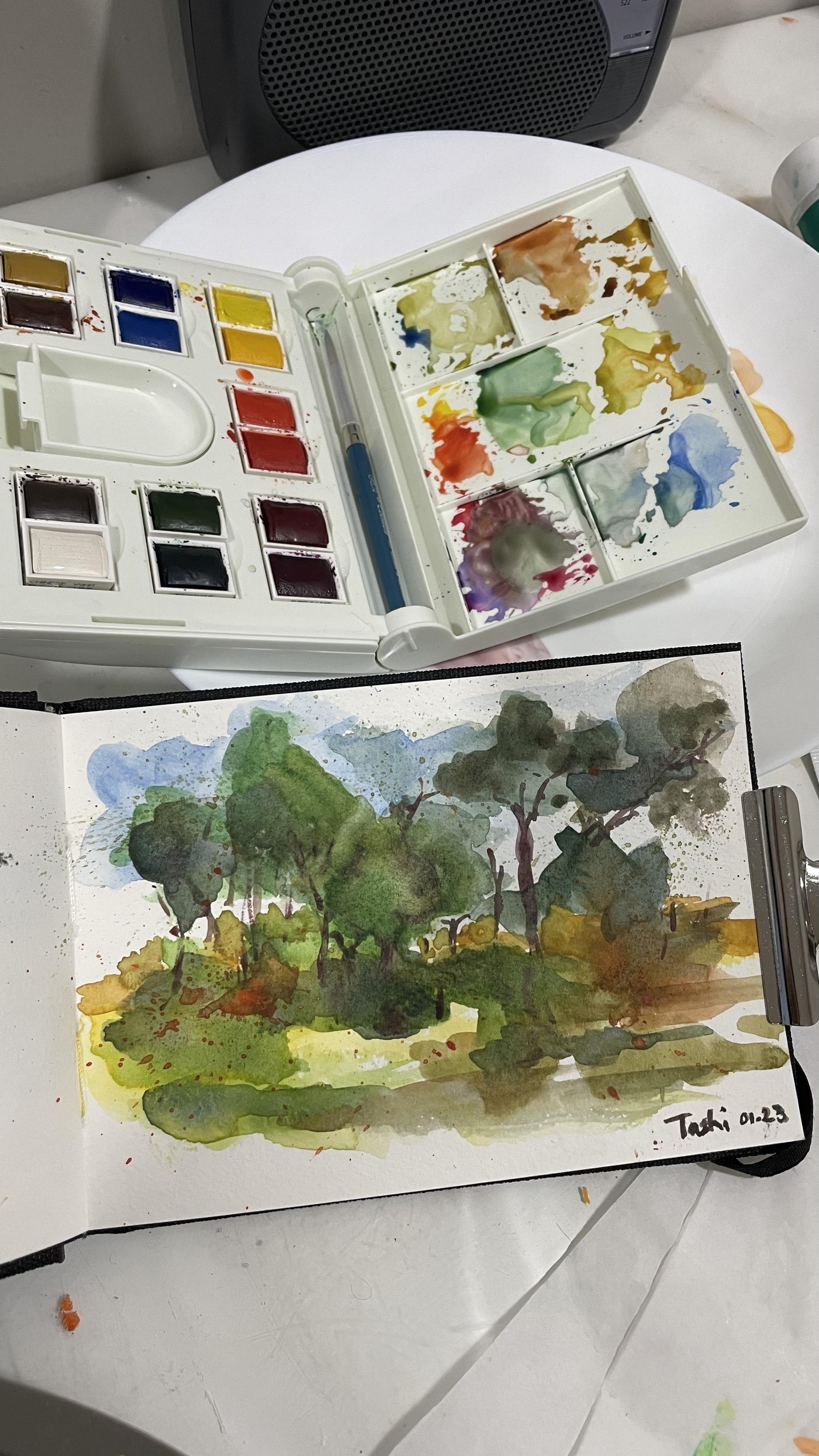 fun learning watercolor - image 1 - student project