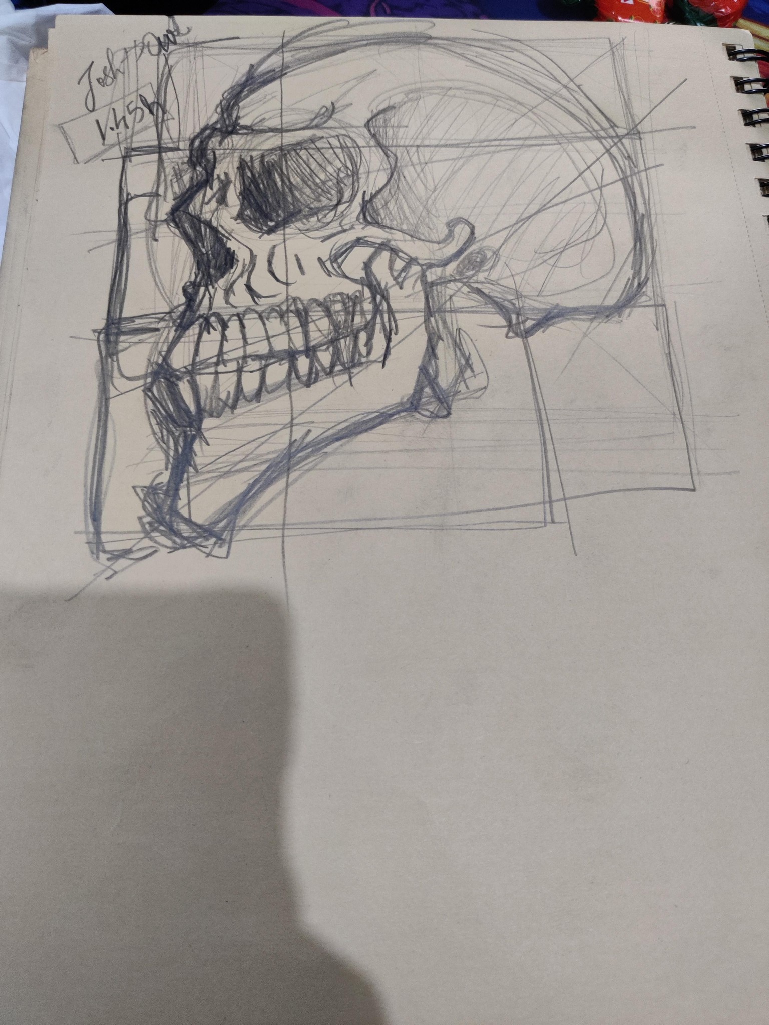 Skull Studies - image 4 - student project